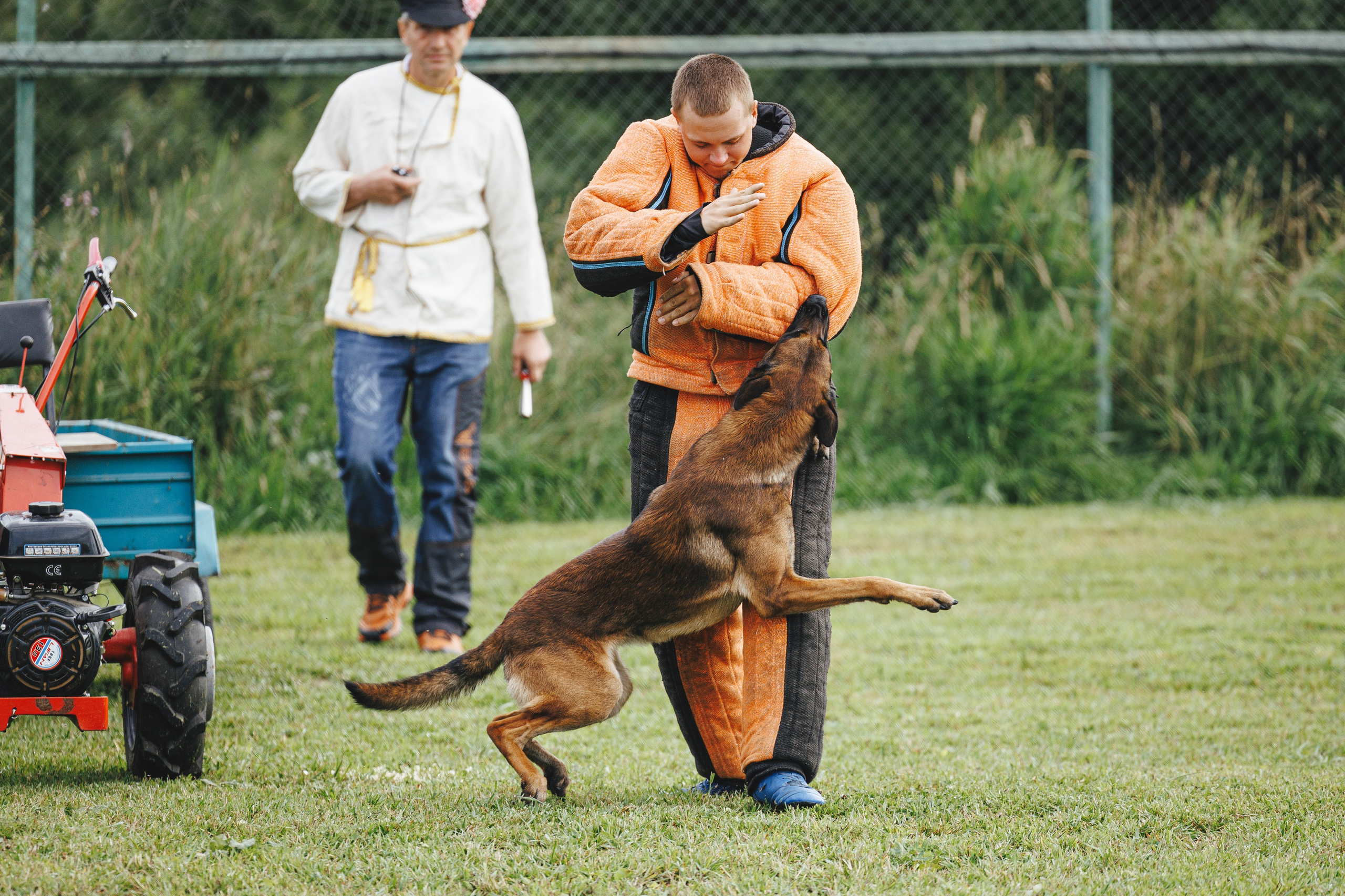 08.08.25-10.08.25 ЧР по мондьорингу г. Вологда. Фотограф-анималист Анна Маринич