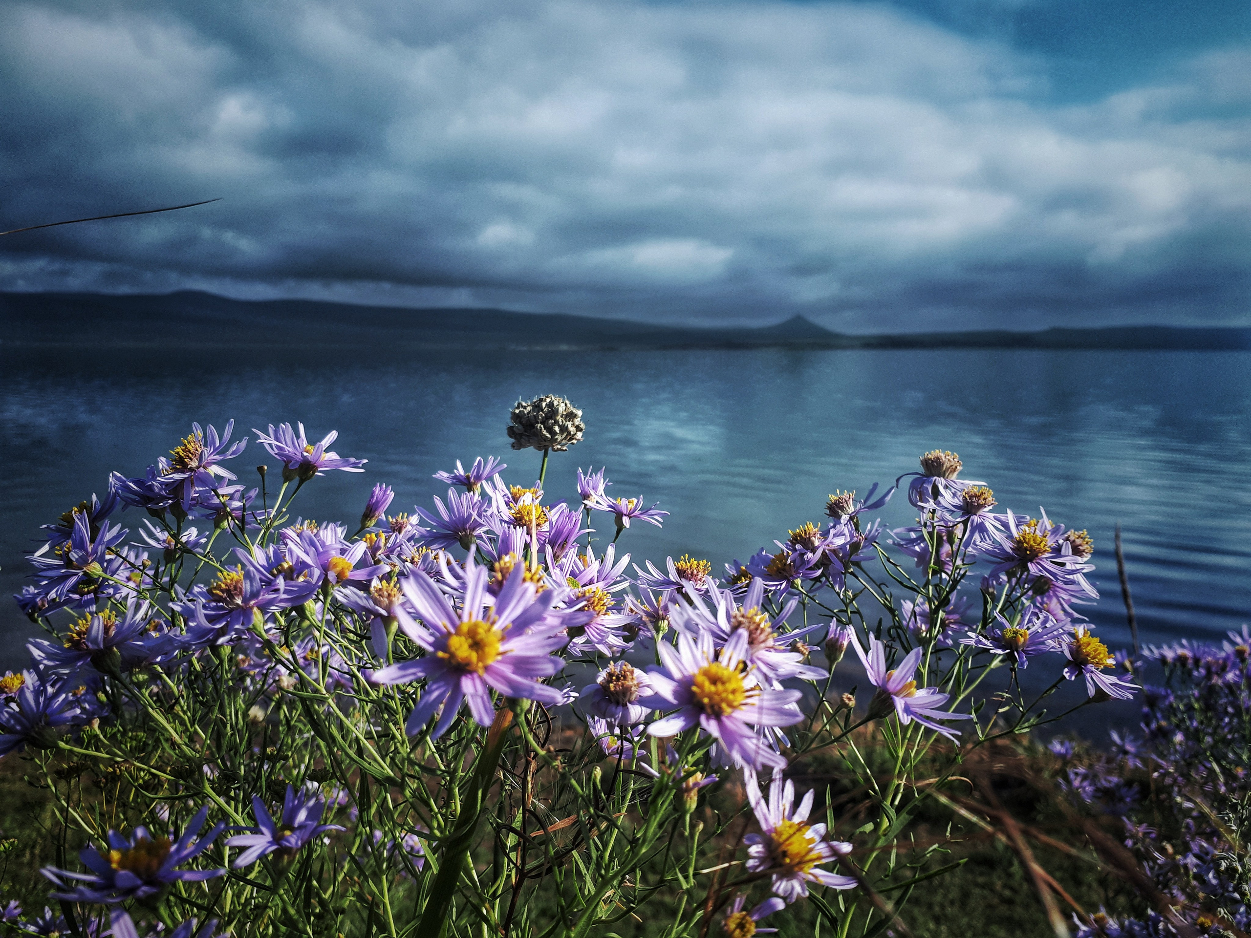 Фото на телефон. Фотошкола и фотокурсы в Абакане