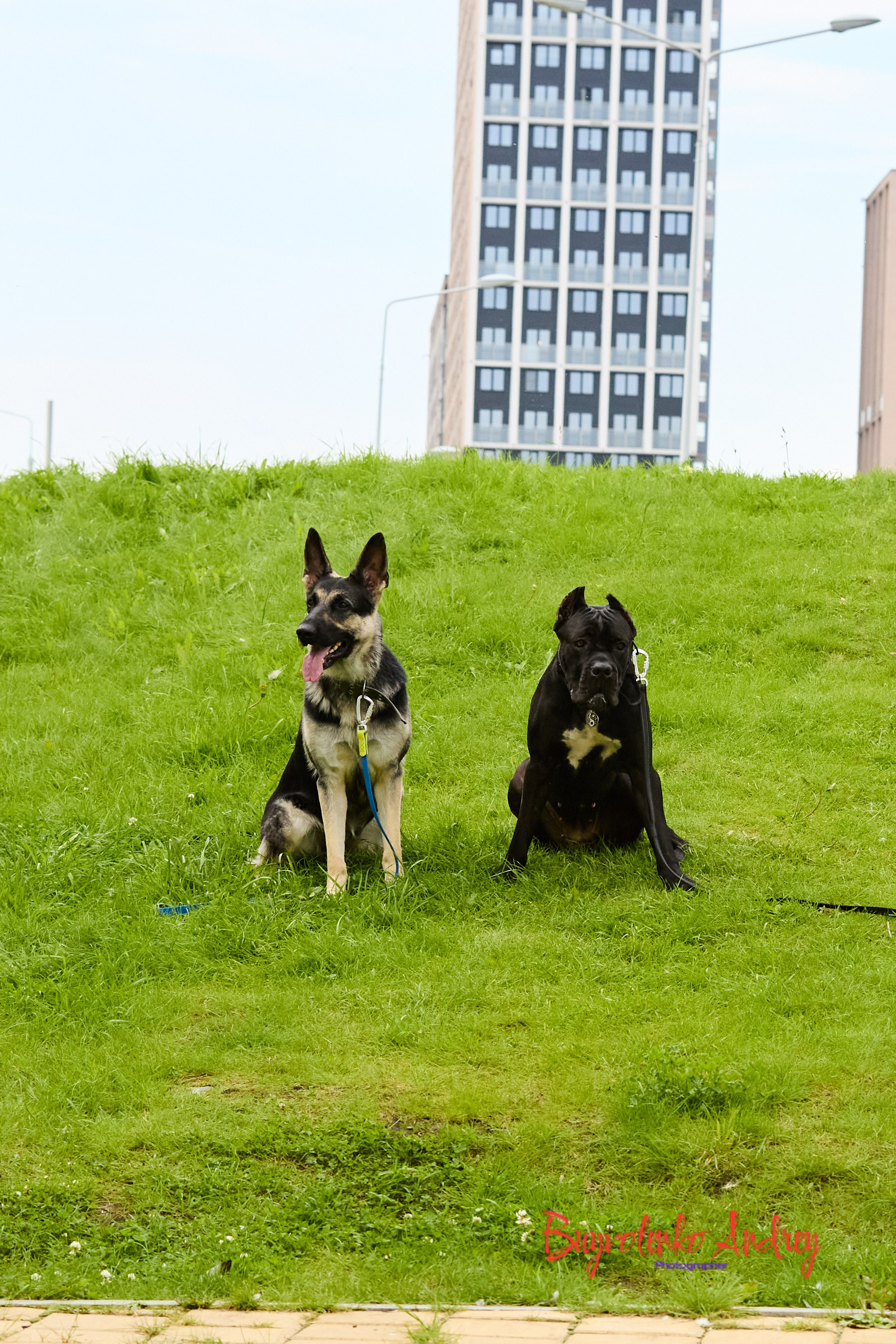 Проект фотопрогулка с хвостиком. Buyvolenko Andrey