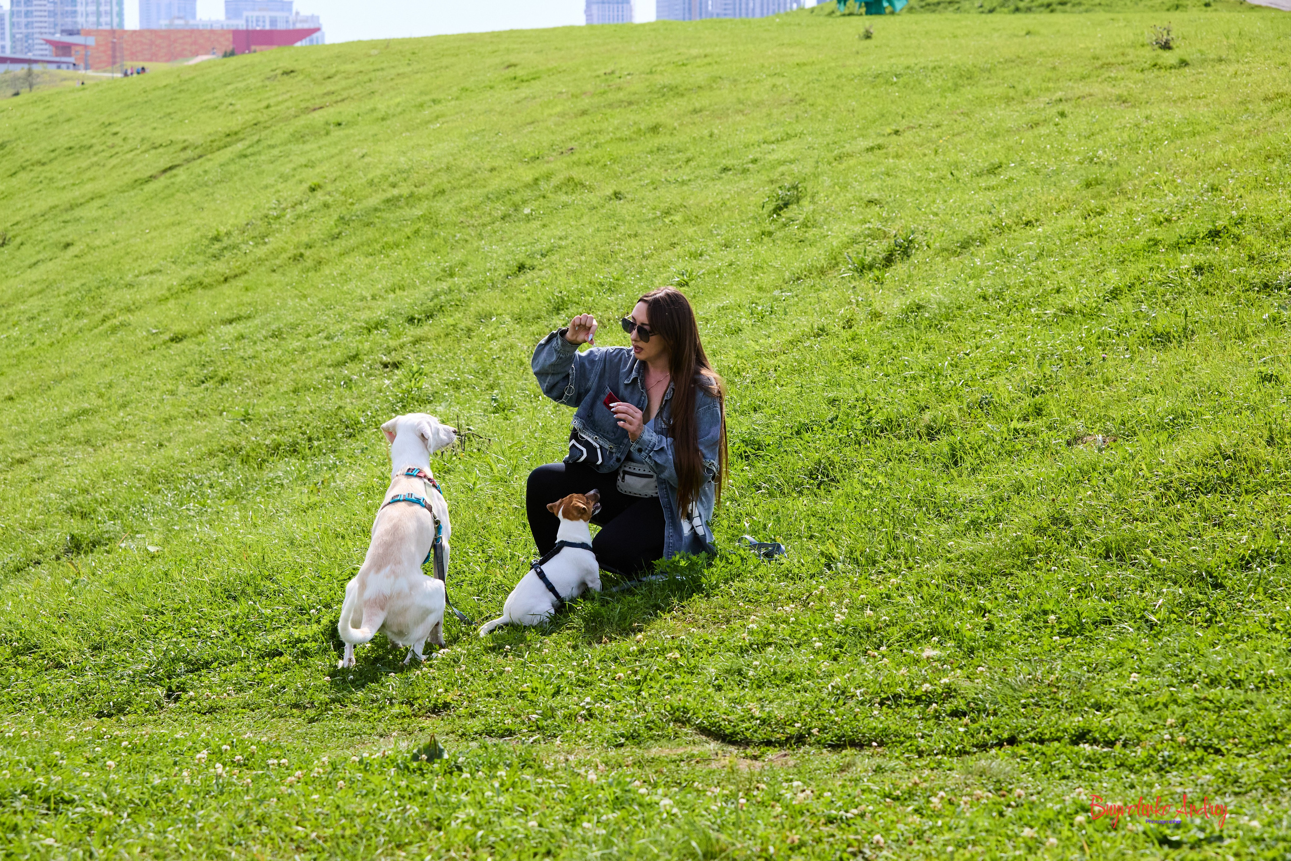 Проект фотопрогулка с хвостиком. Buyvolenko Andrey