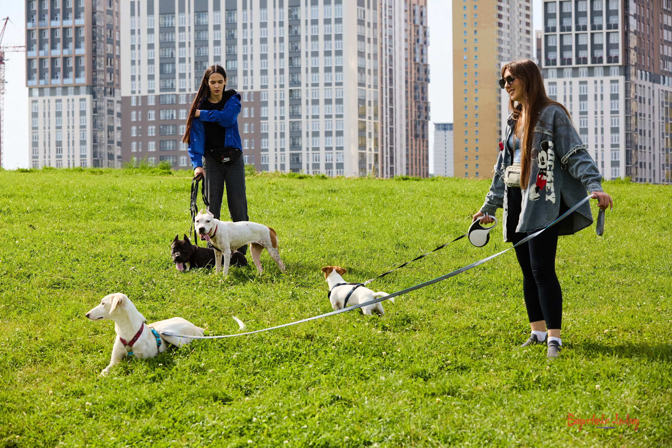 Проект фотопрогулка с хвостиком. Buyvolenko Andrey