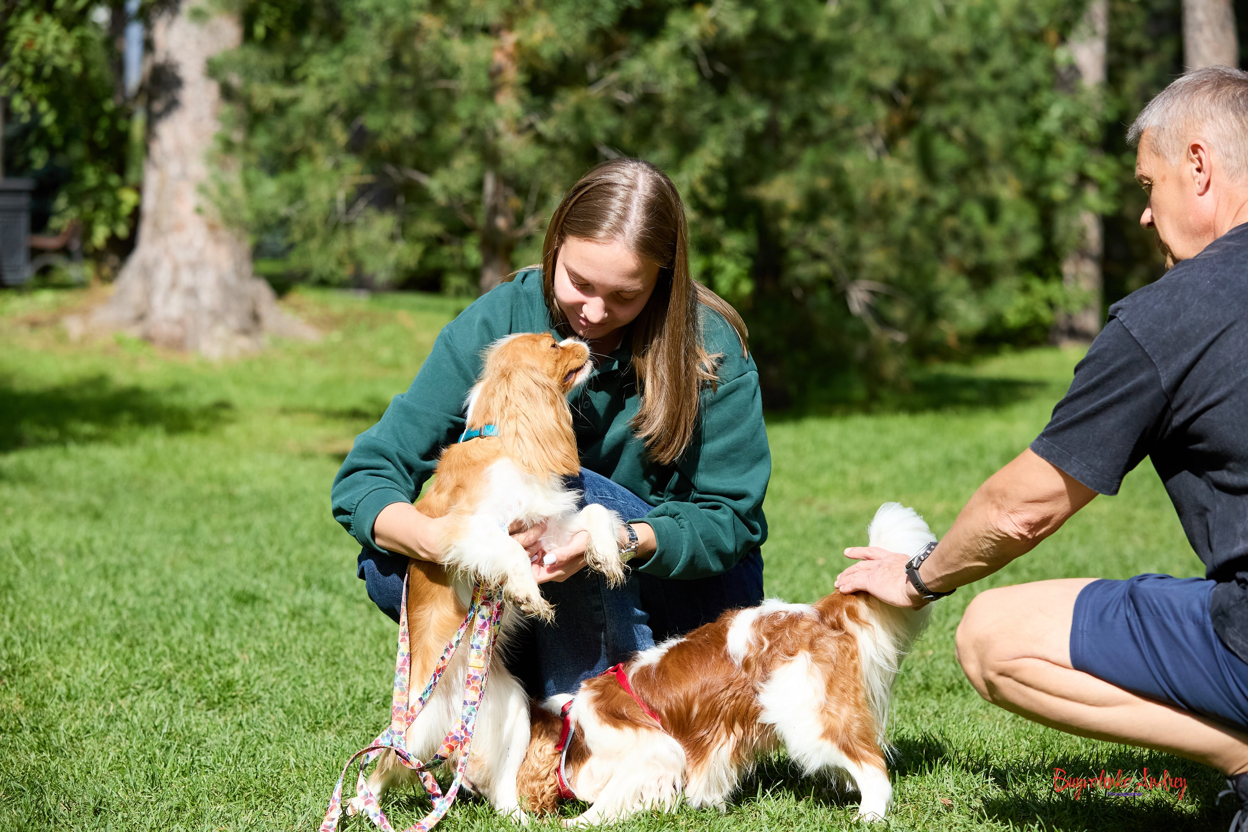 Фотопрогулка с кавалерами. Buyvolenko Andrey