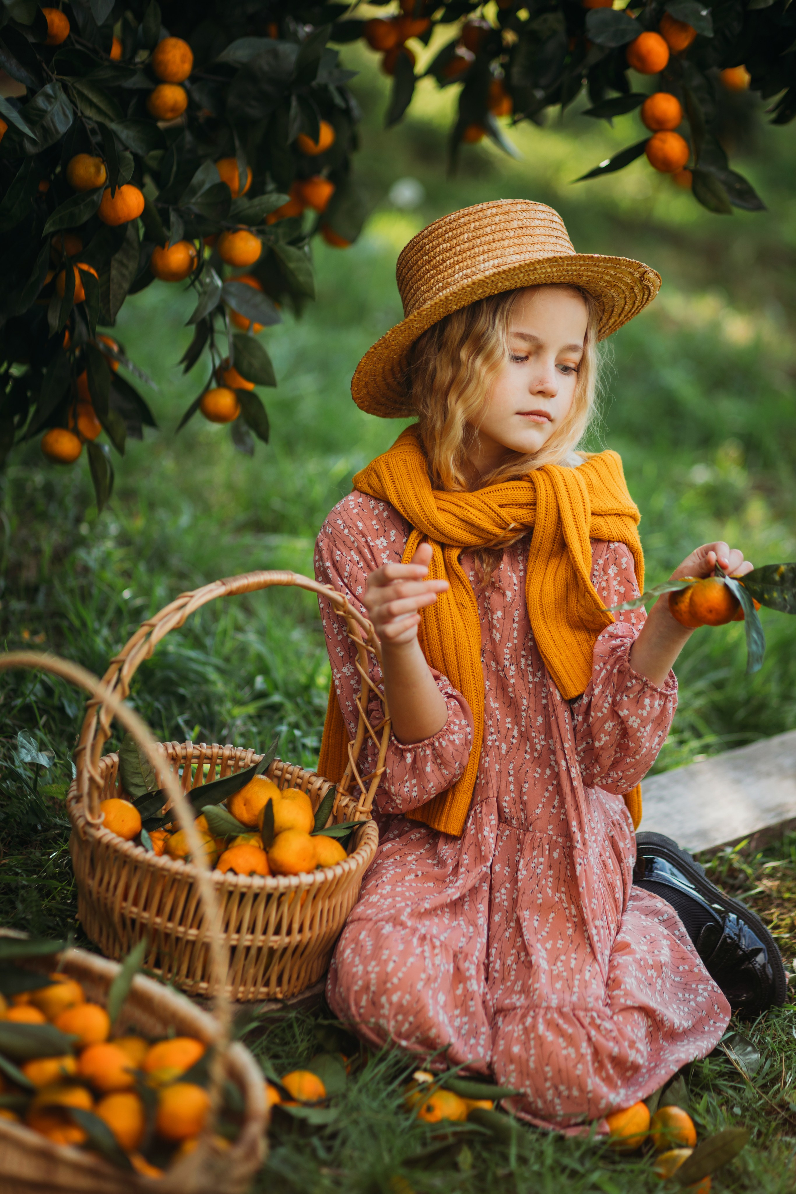 Мандариновая роща. Фотограф Сочи Татьяна Зорина