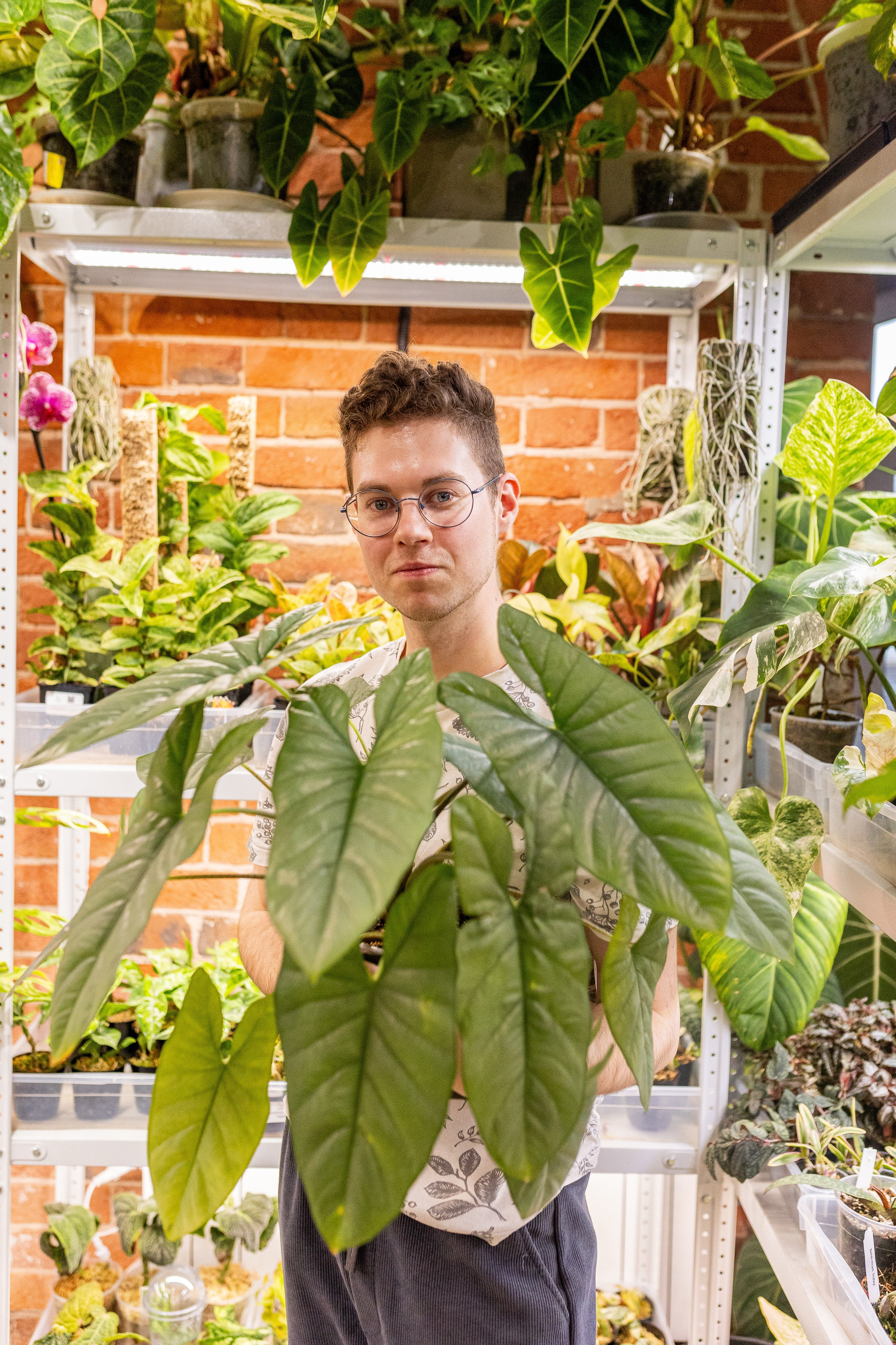 GreenRare ярмарка 2024. Александра Куликова фотограф, Москва