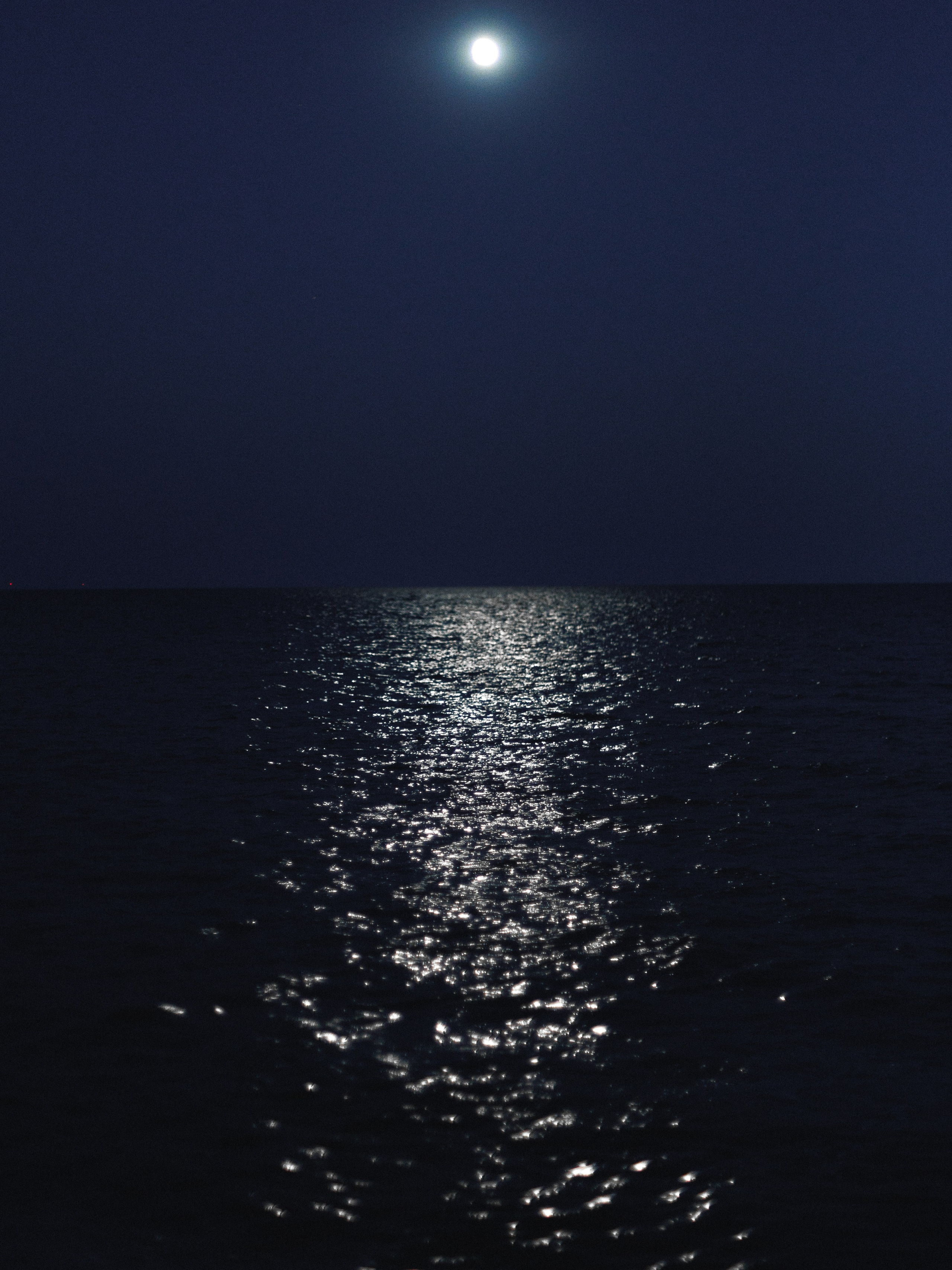 Николай&Анастасия. Свадебный и семейный фотограф в Таганроге и Ростове Руднева Анастасия