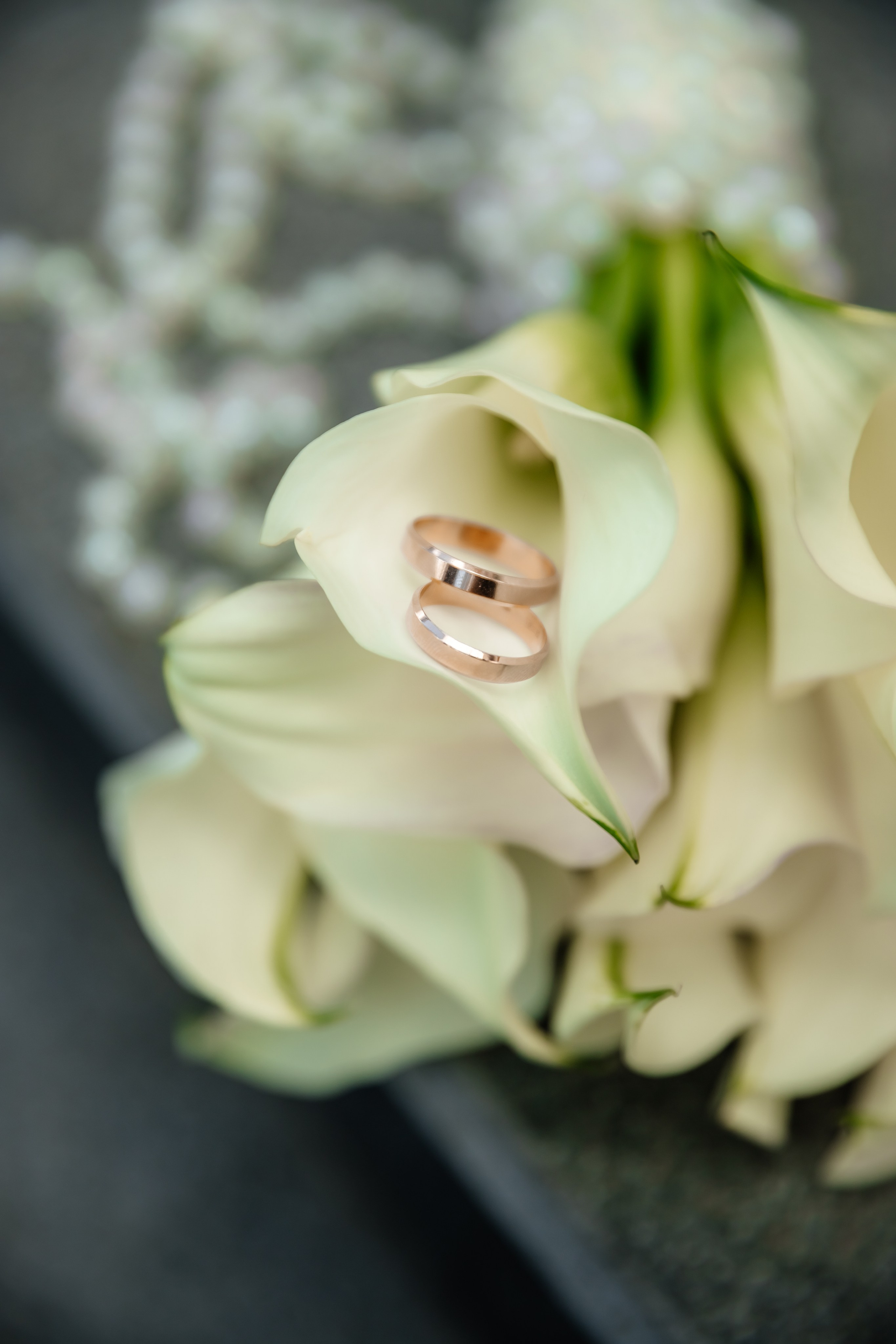 Максим и Виктория. Свадебный и семейный фотограф Разида Мухаметова