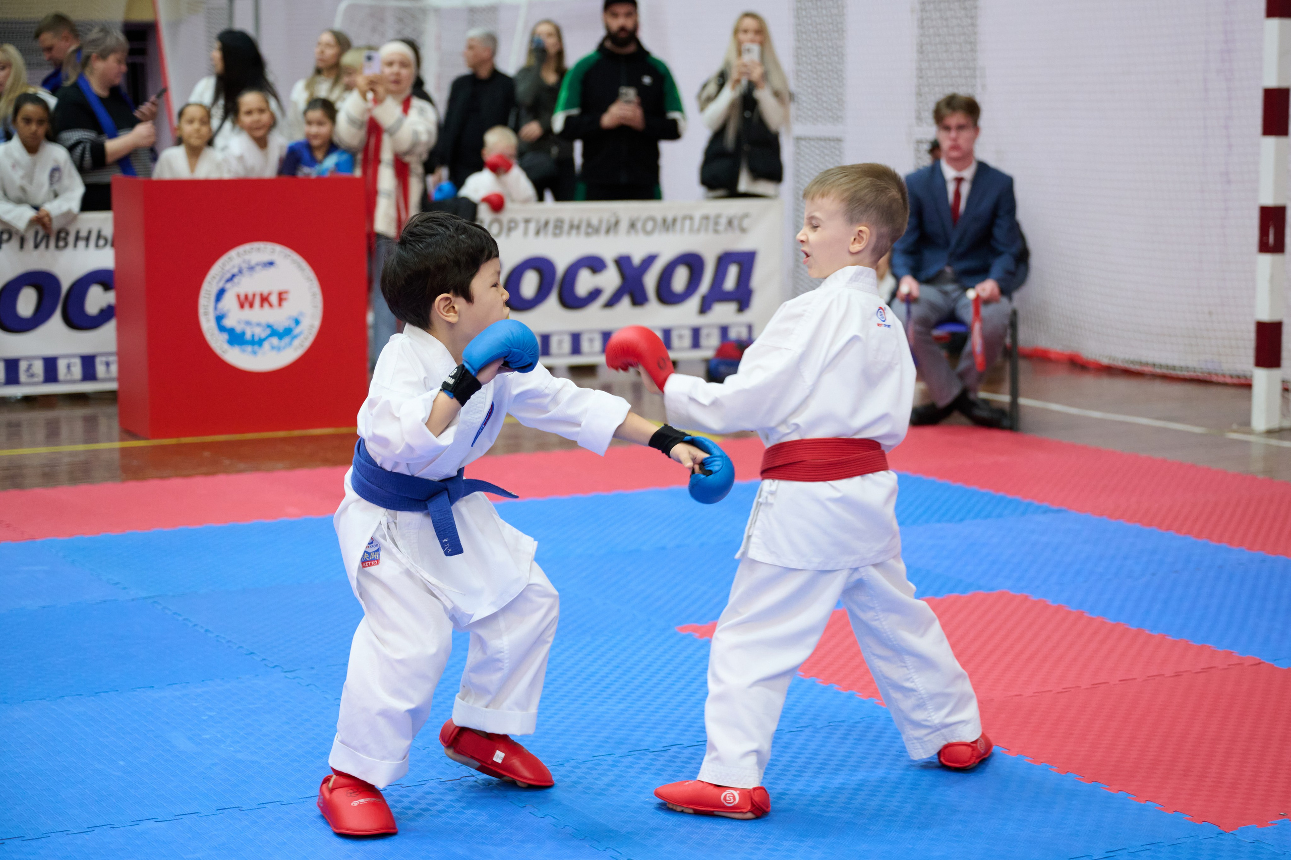 Чемпионат первенства Приморья по карате 28.03.26. Профессиональный репортажный фотограф Инесса Иминова