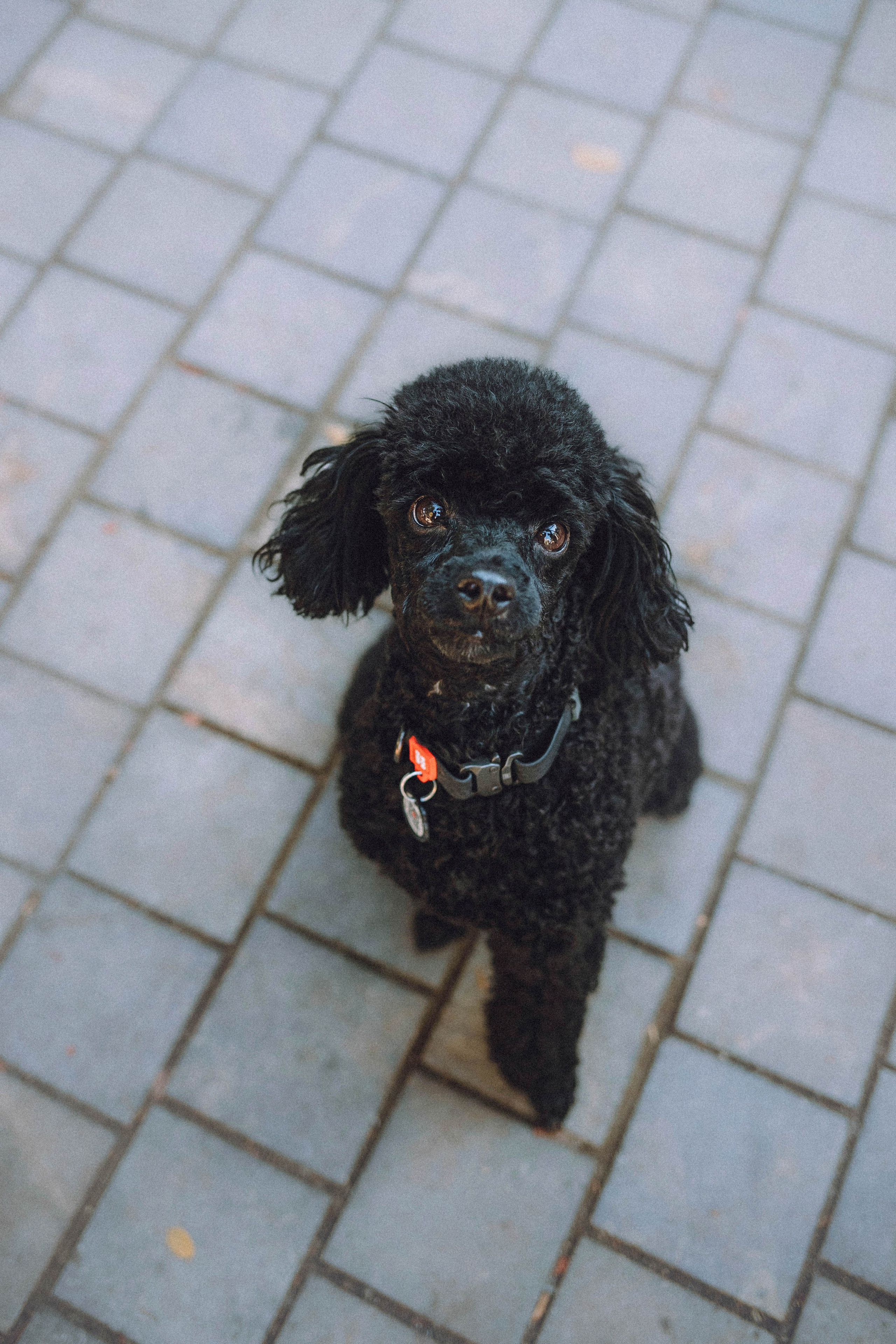 Игнат, Даша и Бэтти