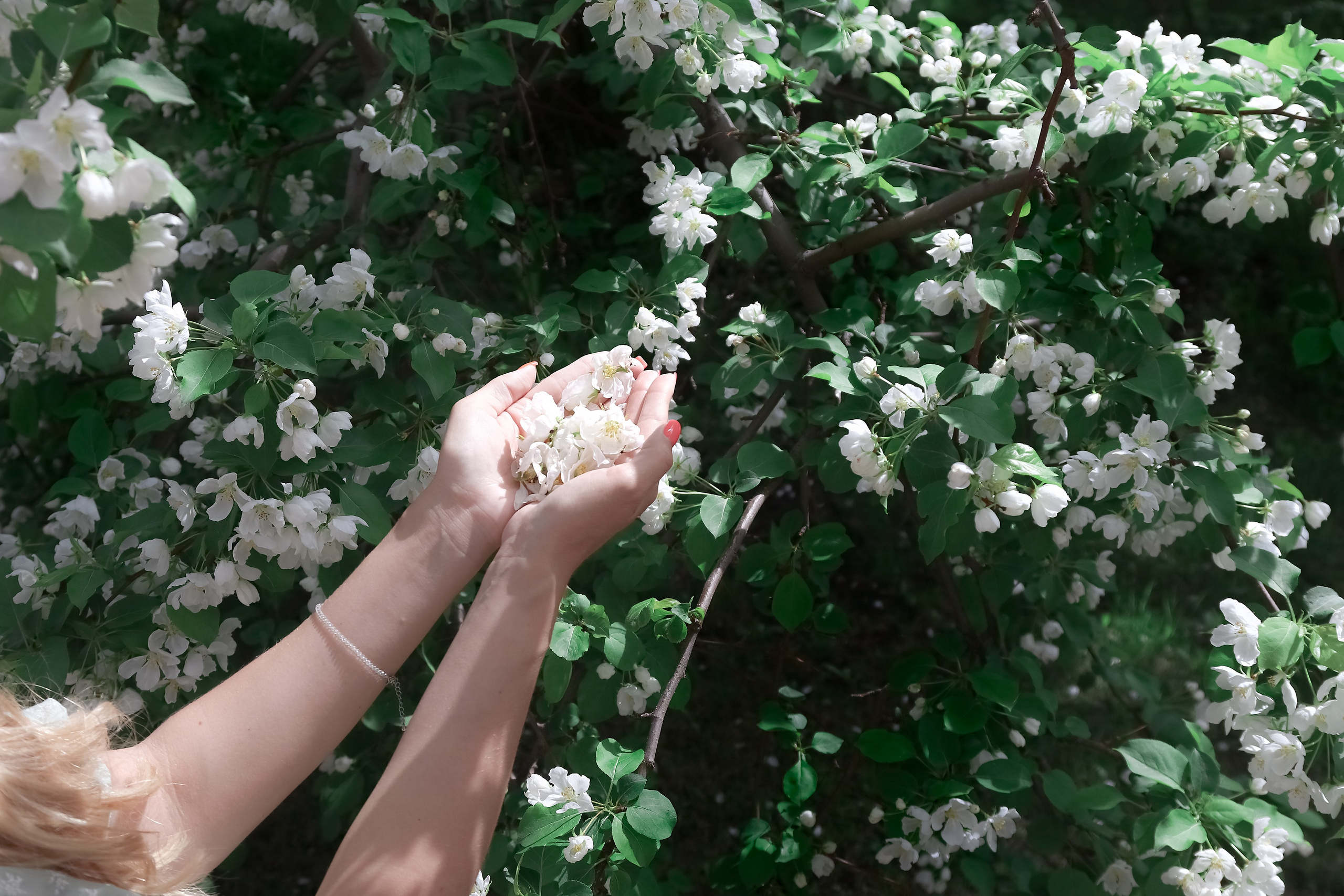 Любовь и цветущая яблоня. Портретный и пейзажный фотограф Никита Павлов