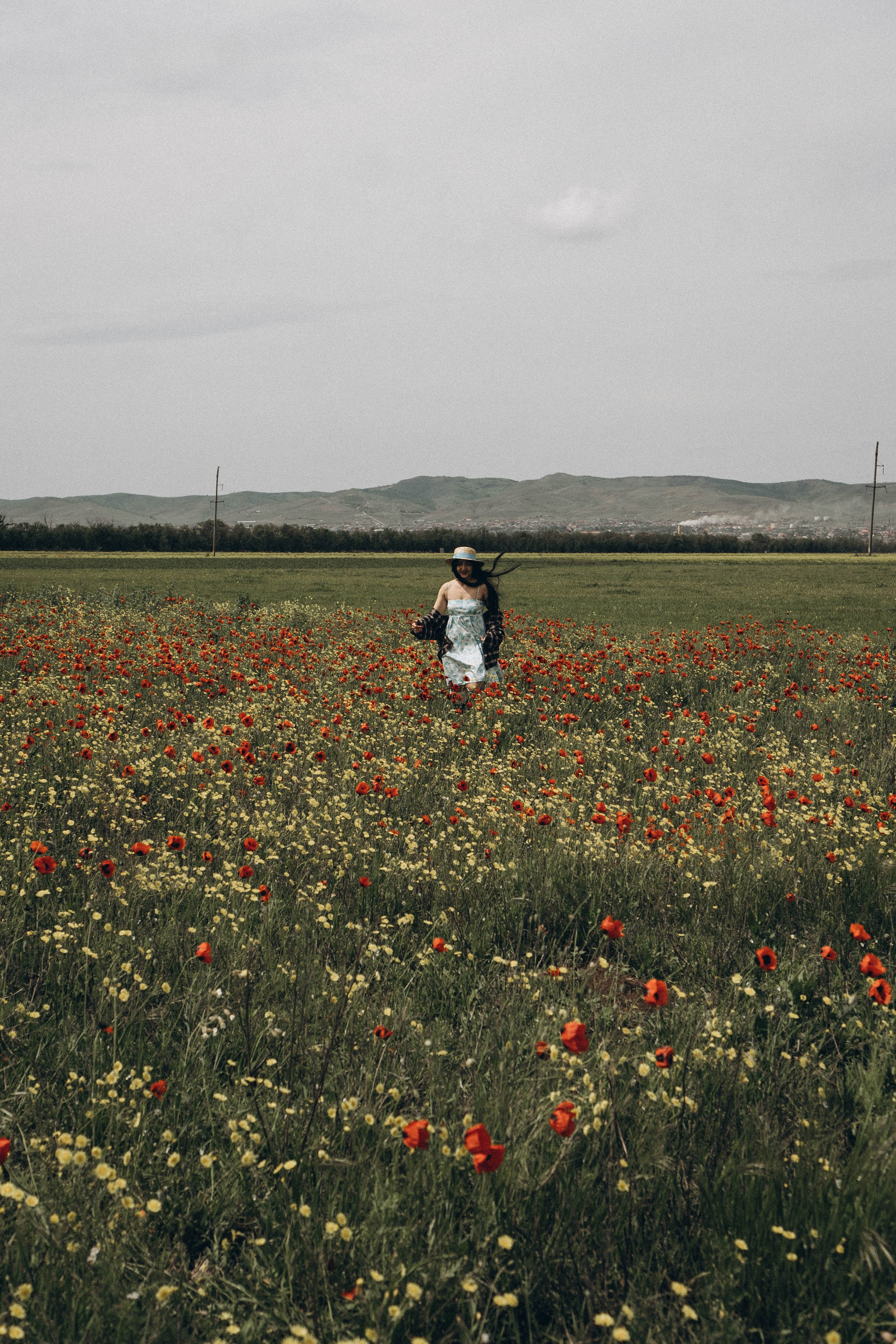 Цветочная поляна. Профессиональный фотограф, Санкт-Петербург — Виктория Богомолова