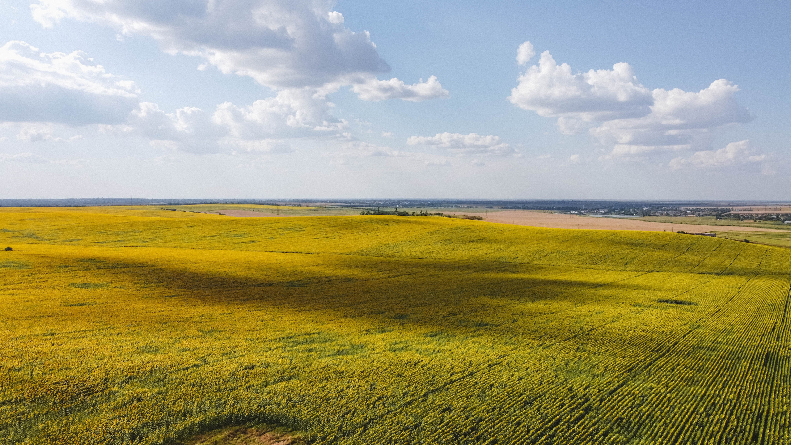 Nature. Артем Корнев Фотограф