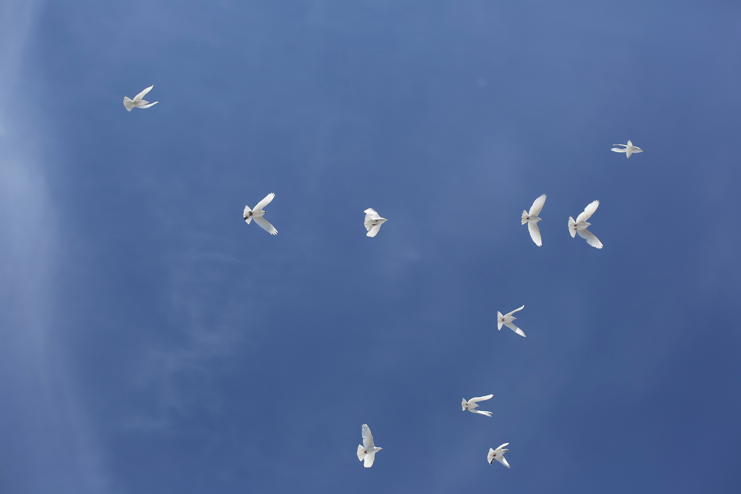 ЛИНЕЙКА «ПОСЛЕДНИЙ ЗВОНОК» 9 ШКОЛА 2024 г МЦЕНСК. ТВОЙ АЛЬБОМ / ТВОИ ПРАВИЛА