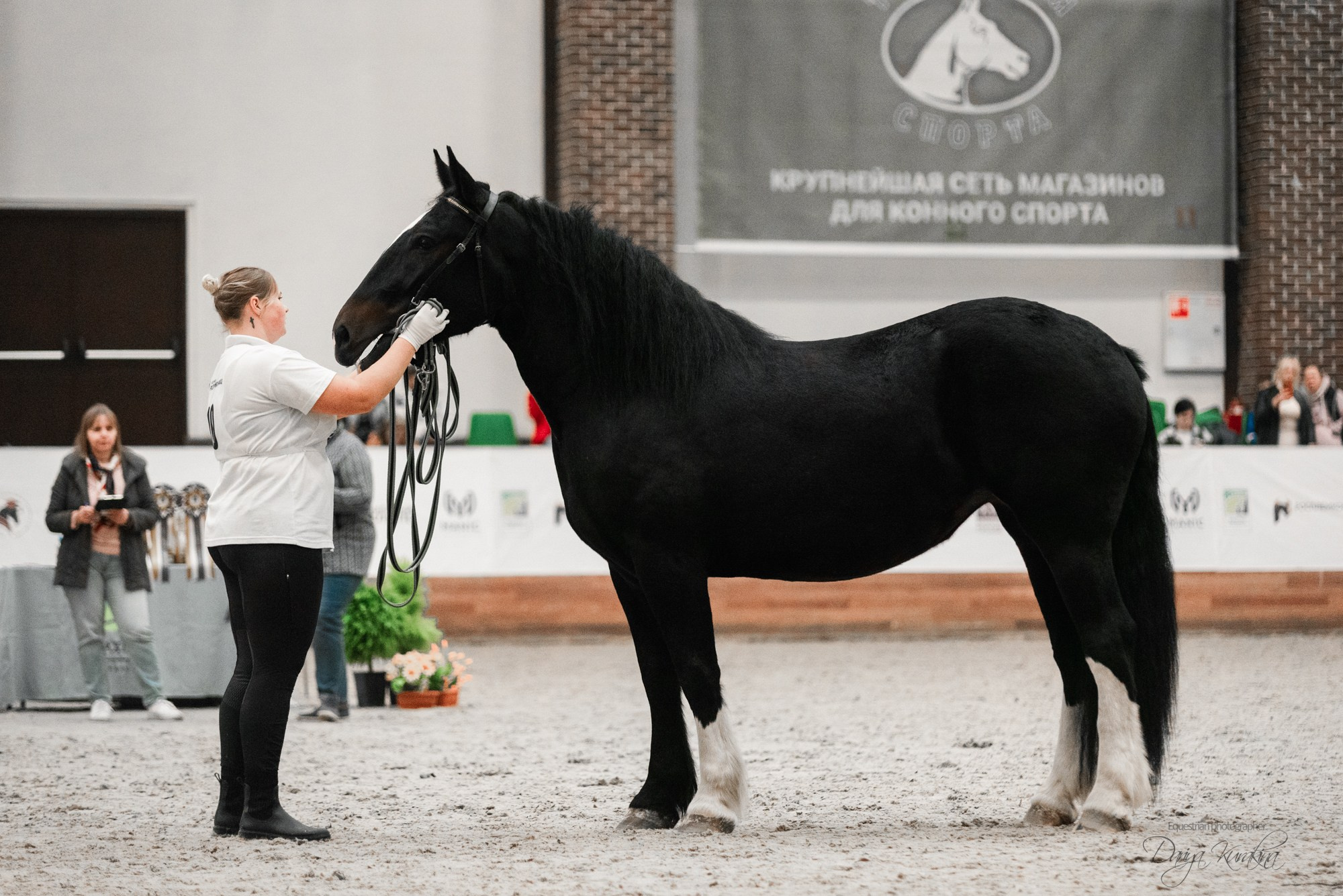 8-я международная выставка Конная Россия. Конный фотограф Куракина Дарья • Фотосессии с лошадьми