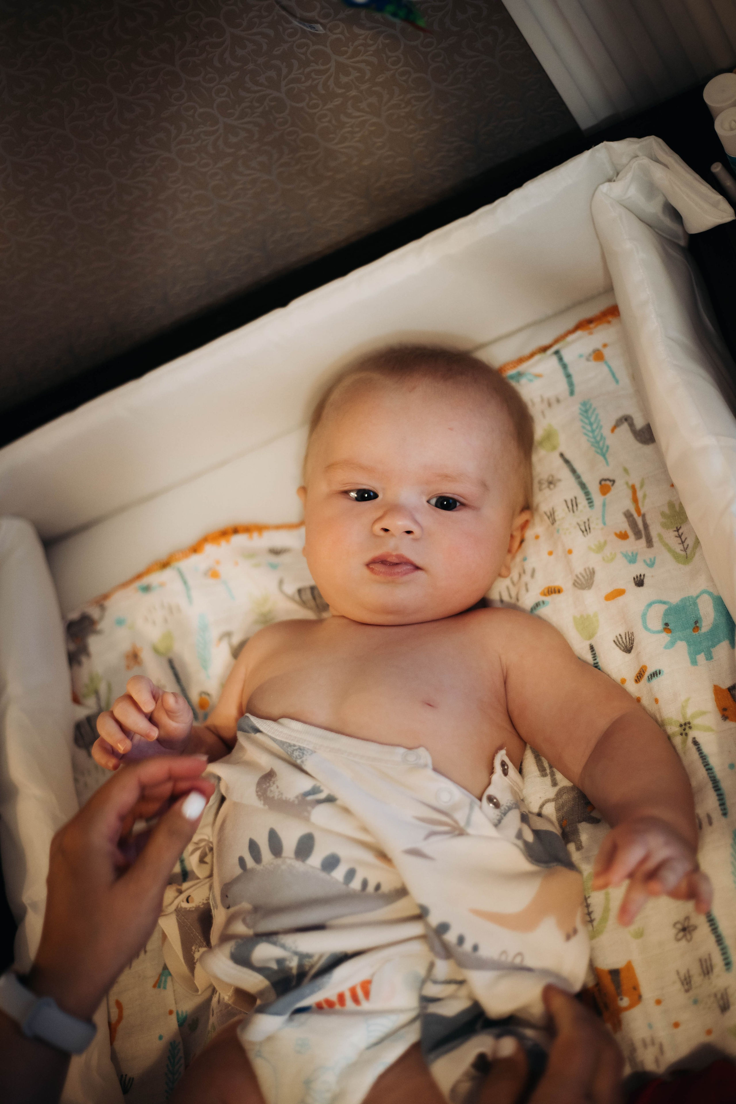 Лена и Ильюша. Свадебный и семейный фотограф в Санкт-Петербурге Лолита Евстифеева