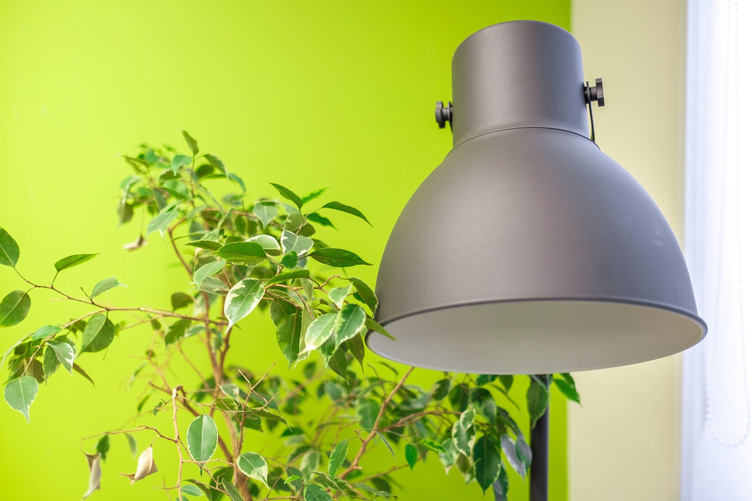 Интерьерная съемка. Фотограф в Санкт-Петербурге Вячеслав Саликов