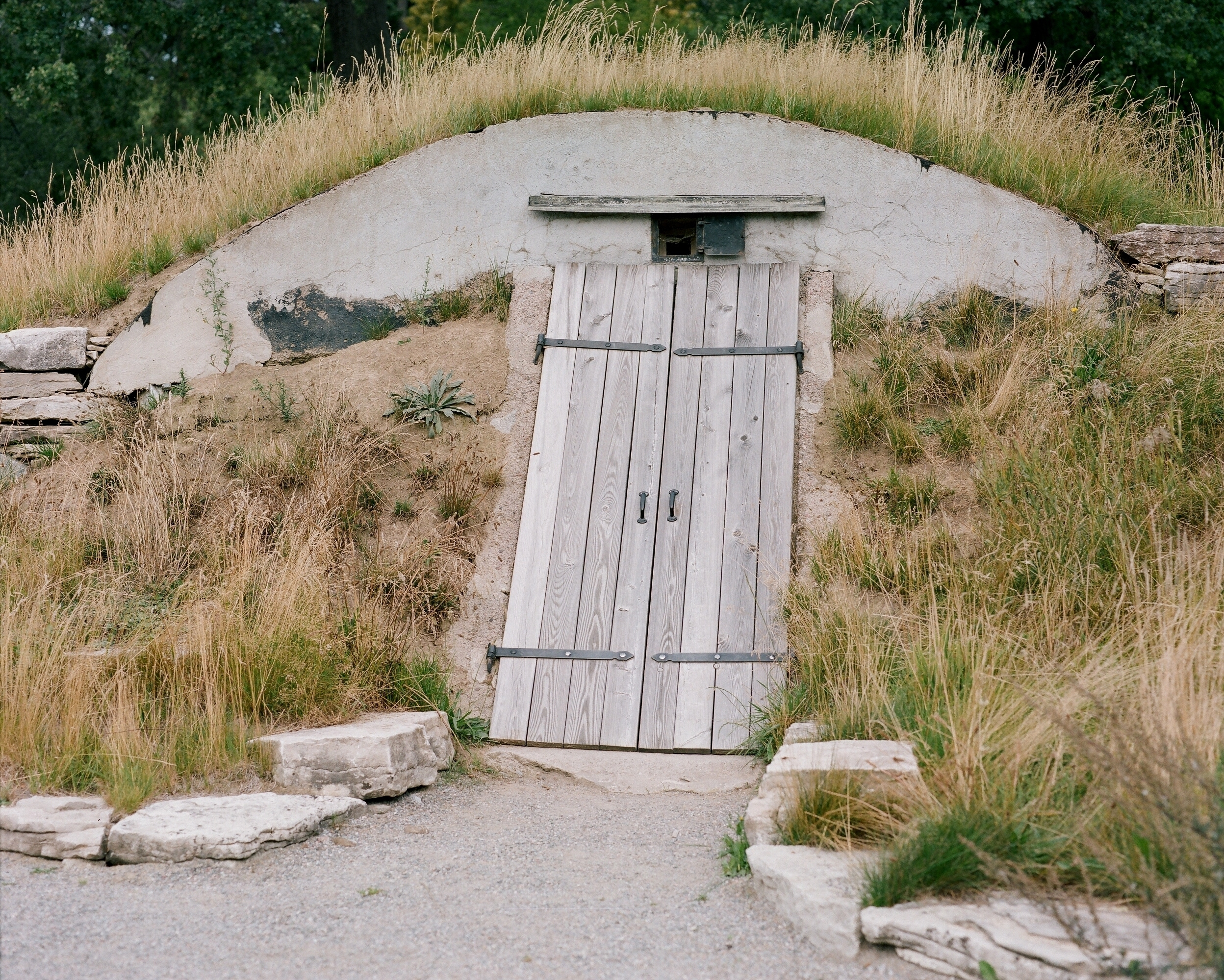 ARSGANG or the Walking Year (New). Екатерина Васильева художник, куратор и преподаватель