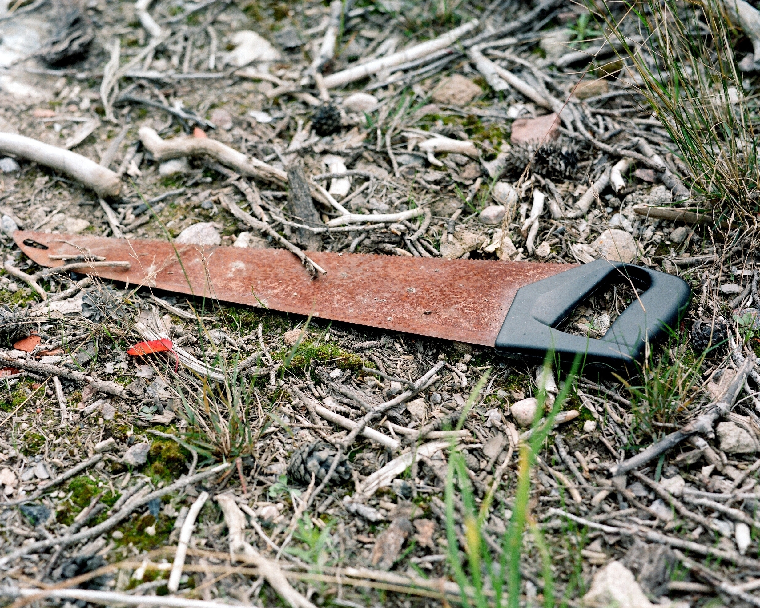 ARSGANG or the Walking Year (New). Екатерина Васильева художник, куратор и преподаватель