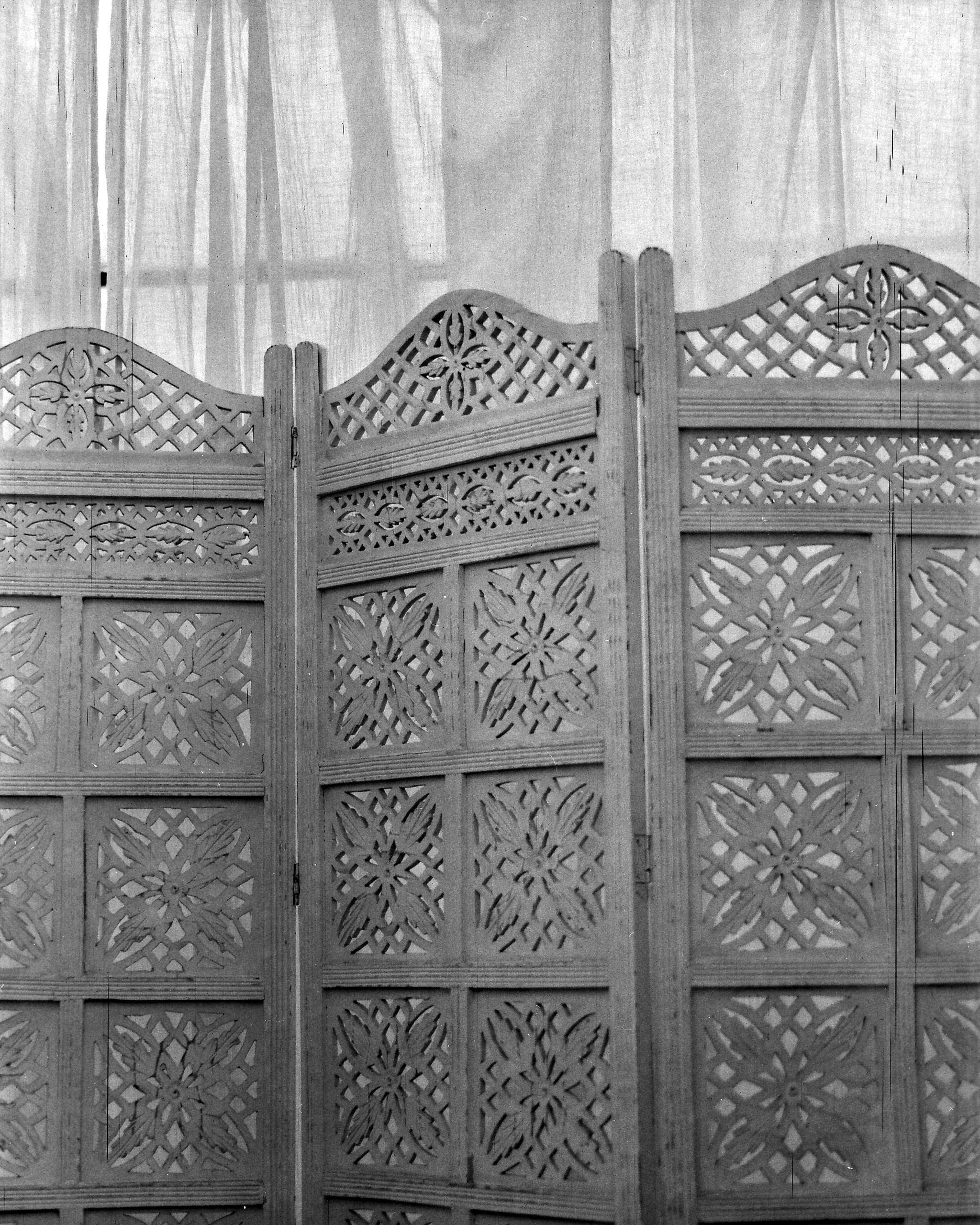 ARSGANG or the Walking Year (New). Екатерина Васильева художник, куратор и преподаватель