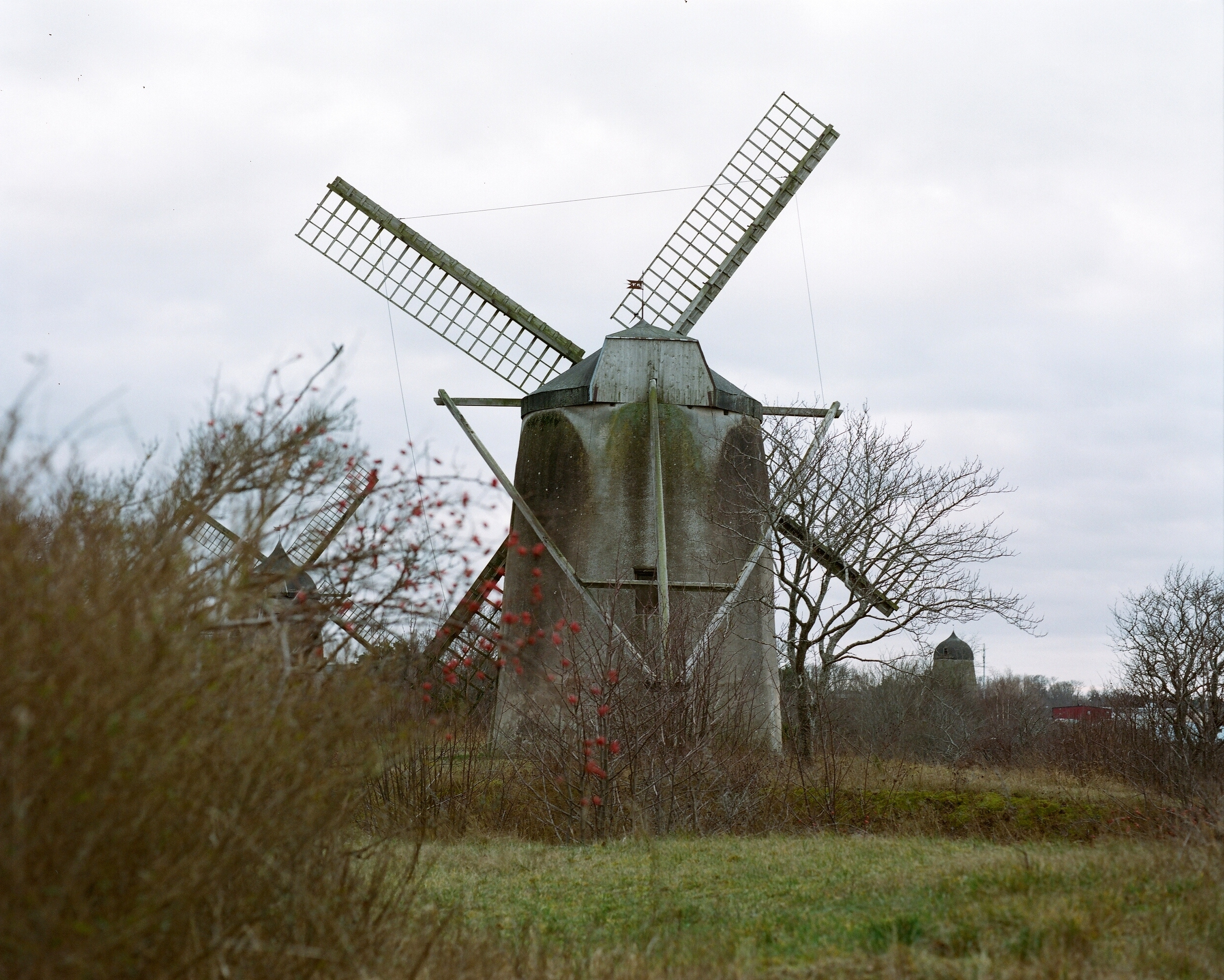 ARSGANG or the Walking Year (New). Екатерина Васильева художник, куратор и преподаватель