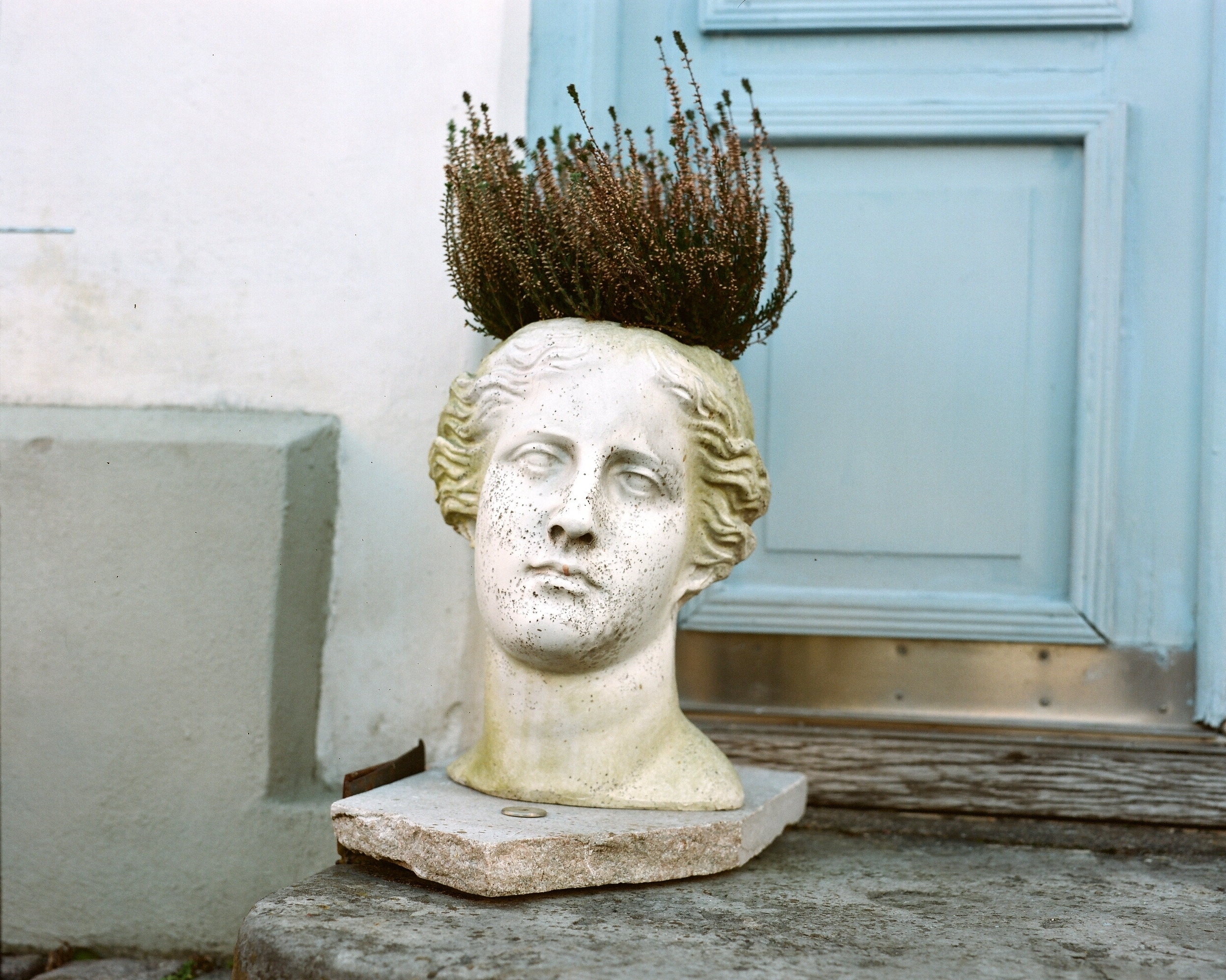 ARSGANG or the Walking Year (New). Екатерина Васильева художник, куратор и преподаватель