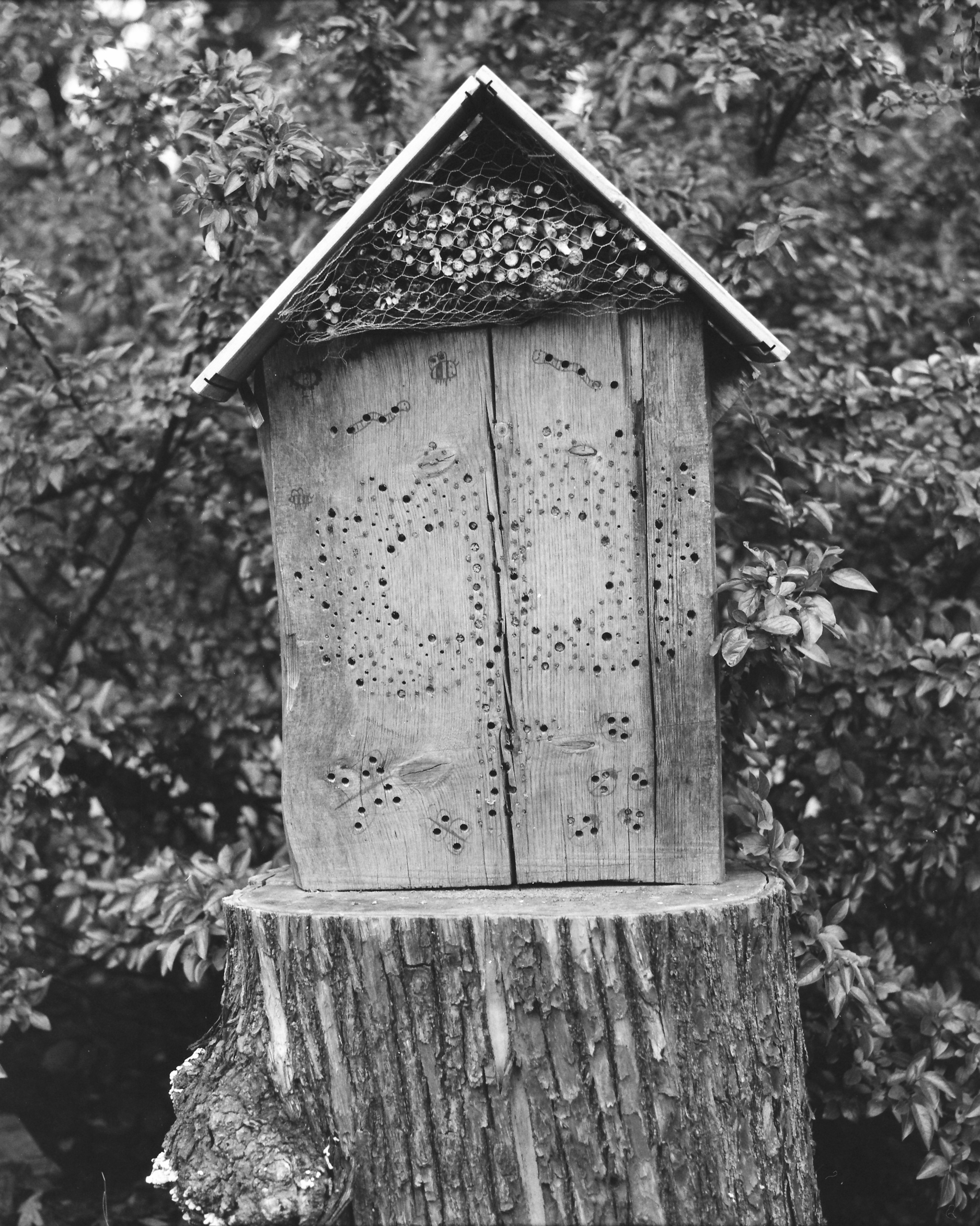 ARSGANG or the Walking Year (New). Екатерина Васильева художник, куратор и преподаватель