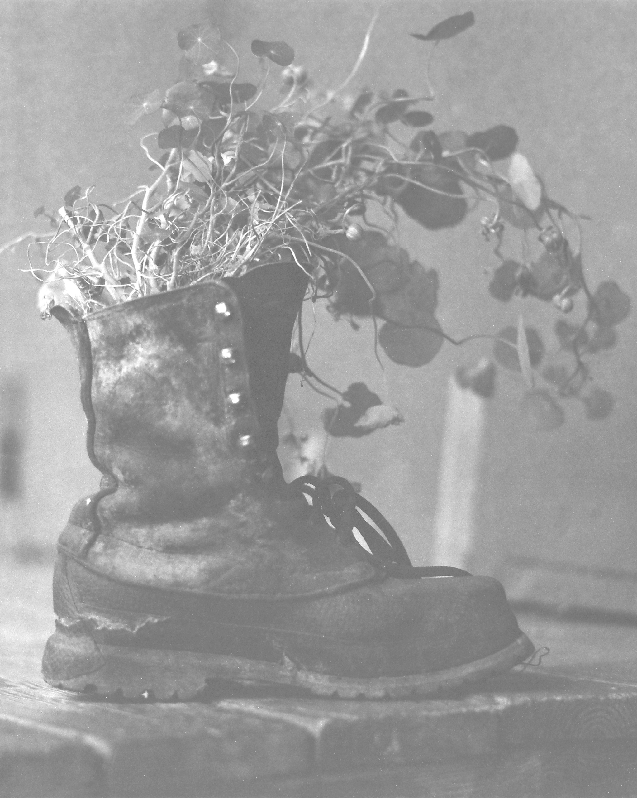 ARSGANG or the Walking Year (New). Екатерина Васильева художник, куратор и преподаватель