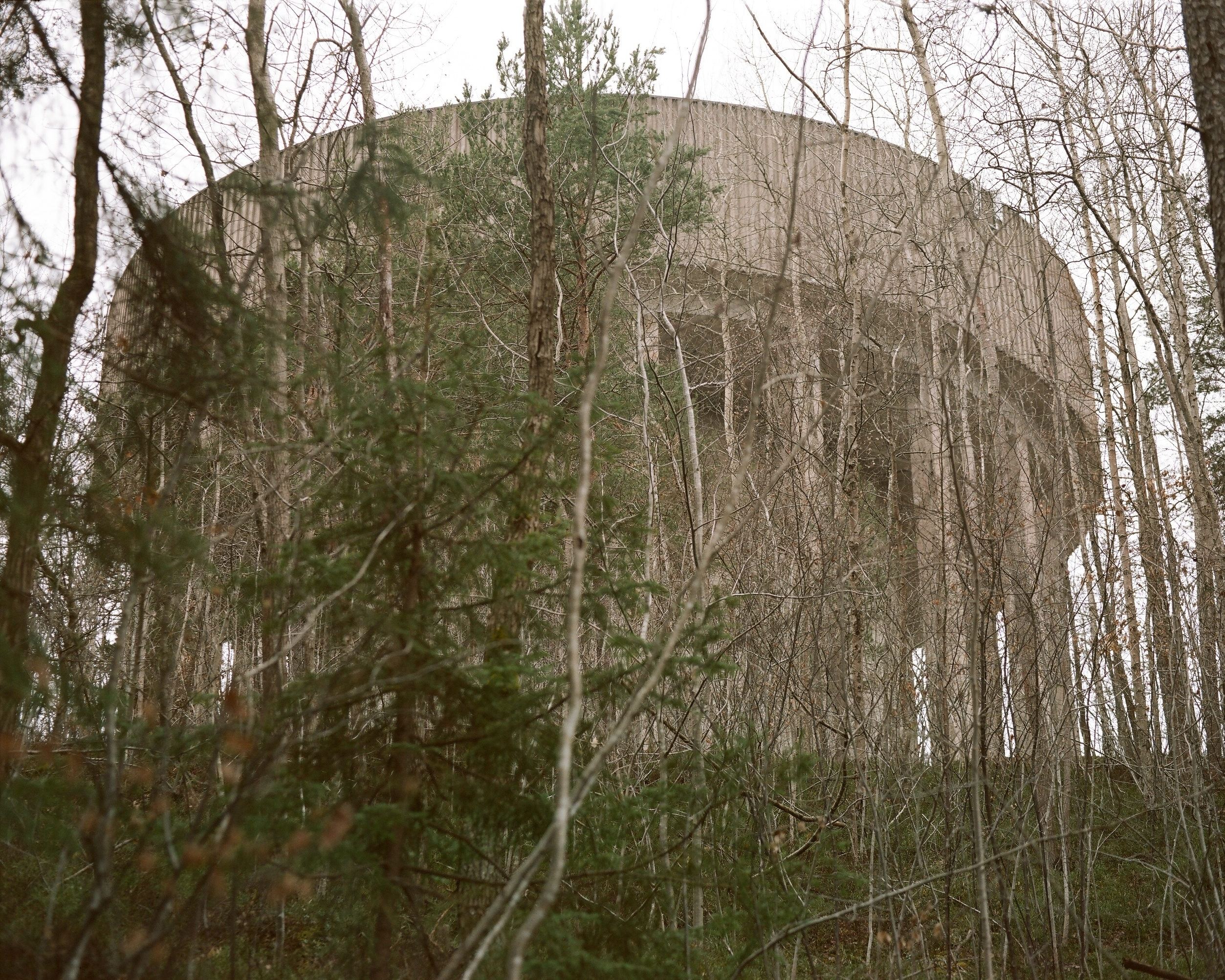 ARSGANG or the Walking Year (New). Екатерина Васильева художник, куратор и преподаватель