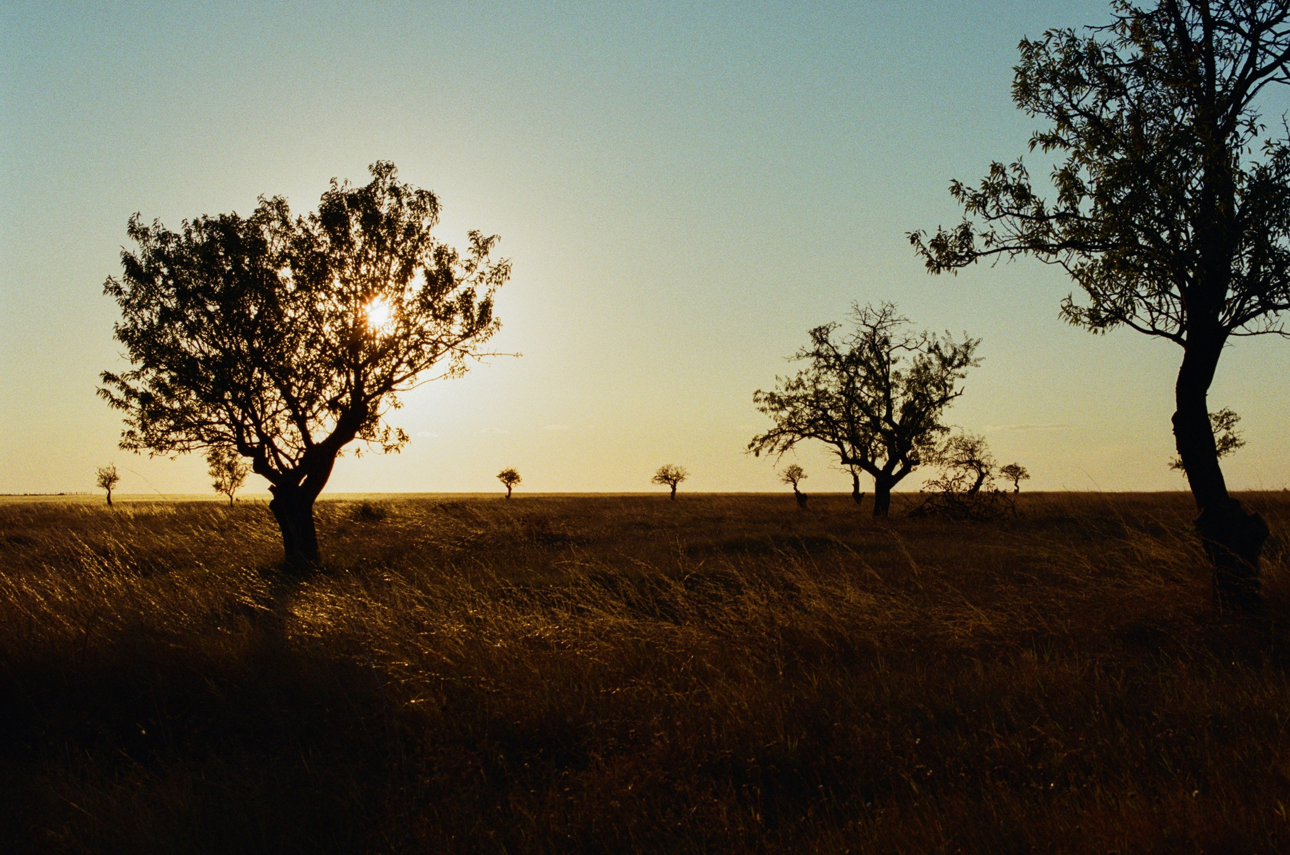 Your guardian angel // ukraine, crimea. EVER EXPOSED
