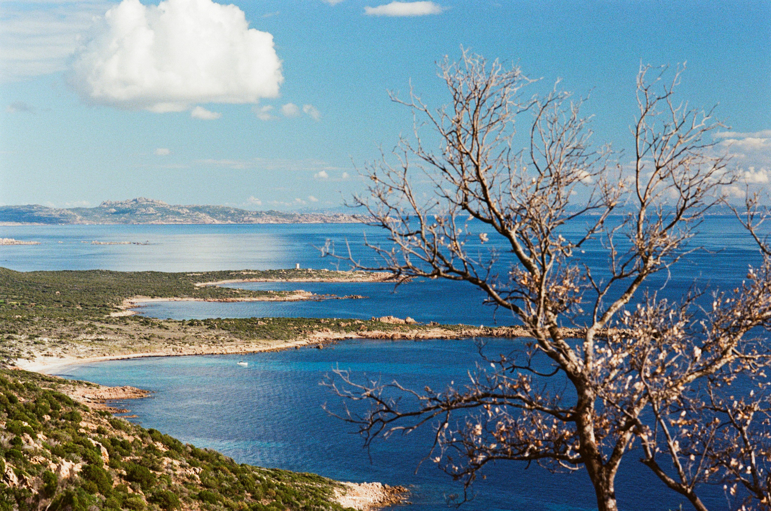 Silence is also an answer // corsica II. EVER EXPOSED