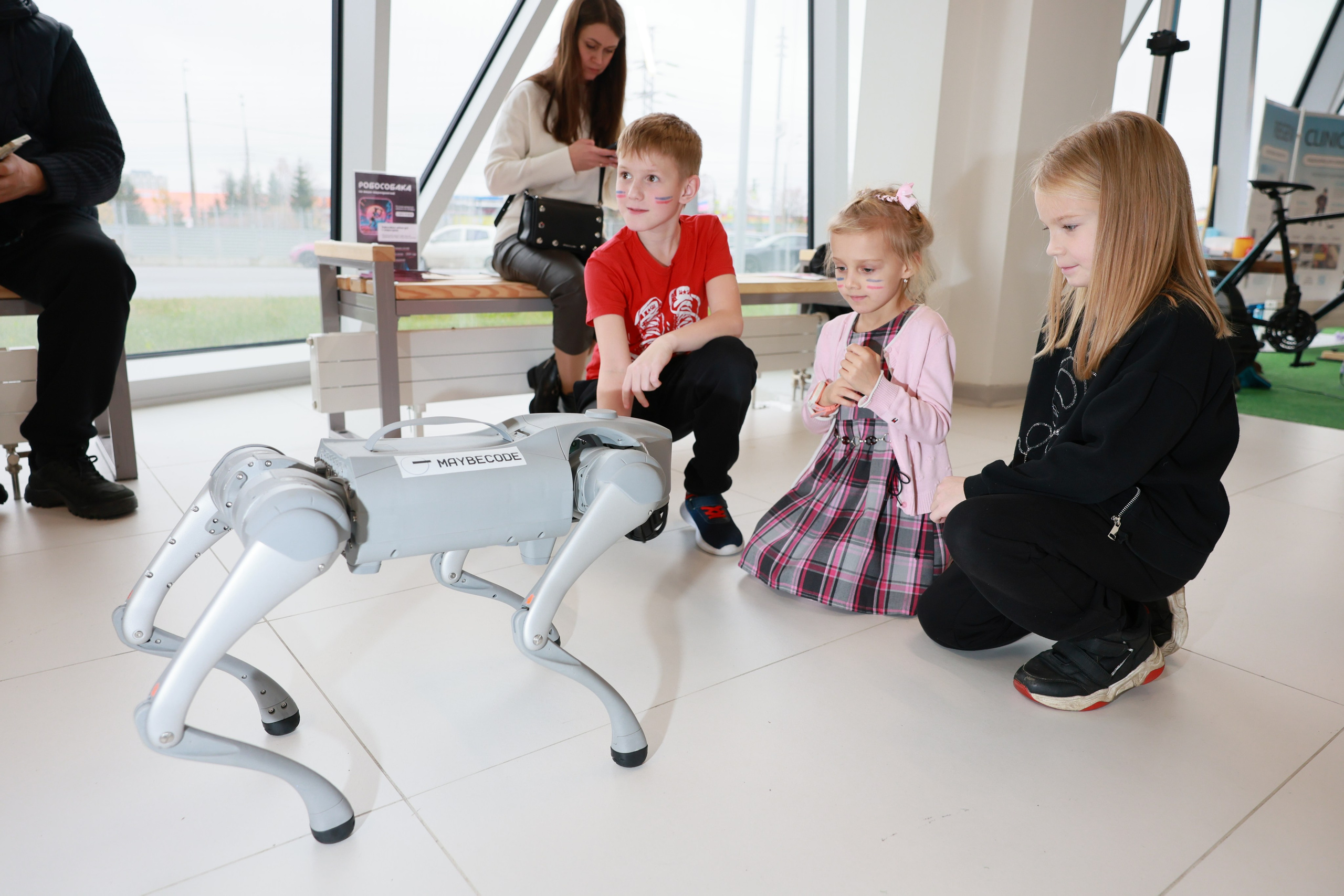 День народного единства в СКА арене. Главная