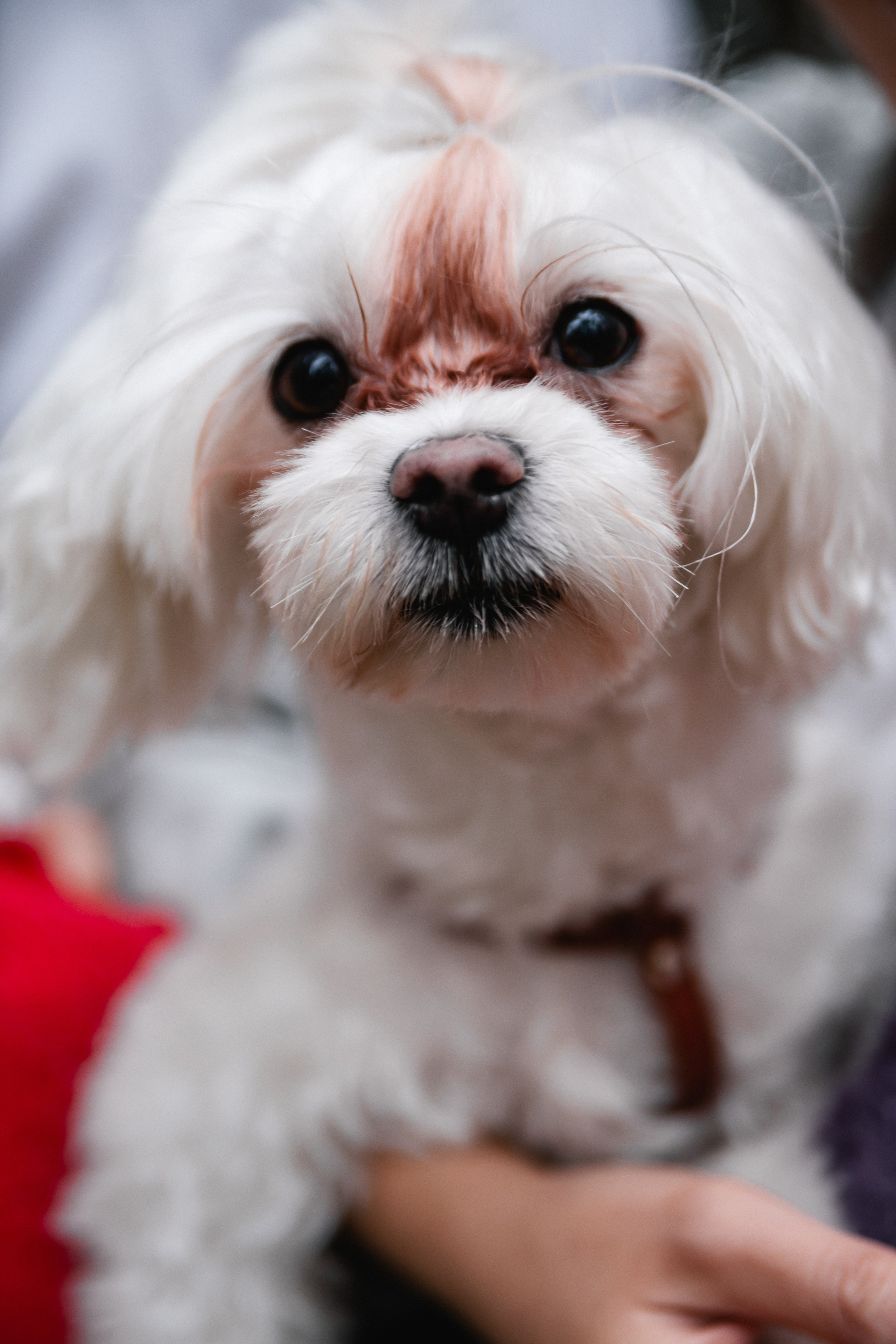 Киря и Таня. Крылова Светлана Фотограф Челябинск