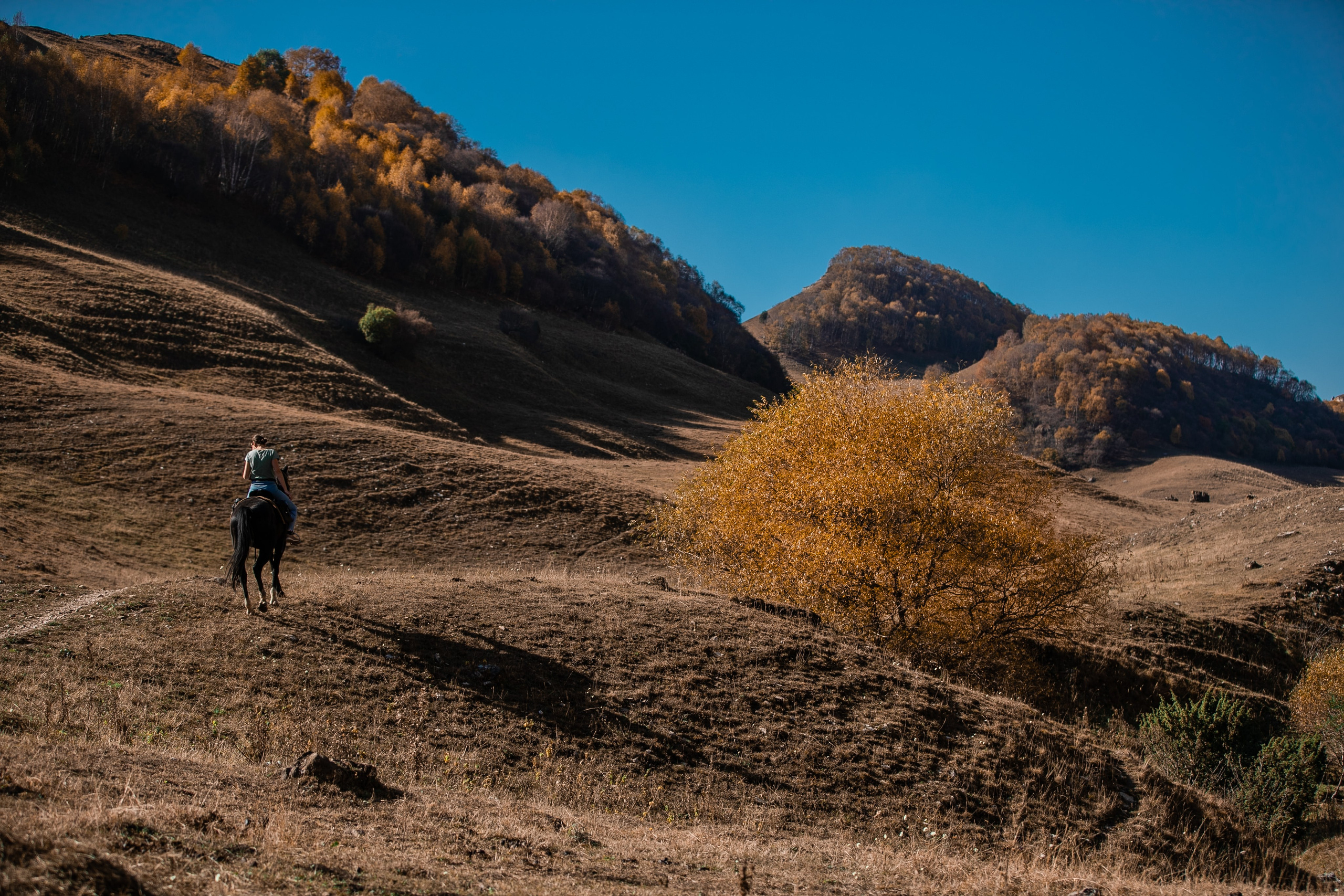 Фототуры в Карачаево-Черкессии 2019-2020. Фотограф-анималист Ксендзова Кристина