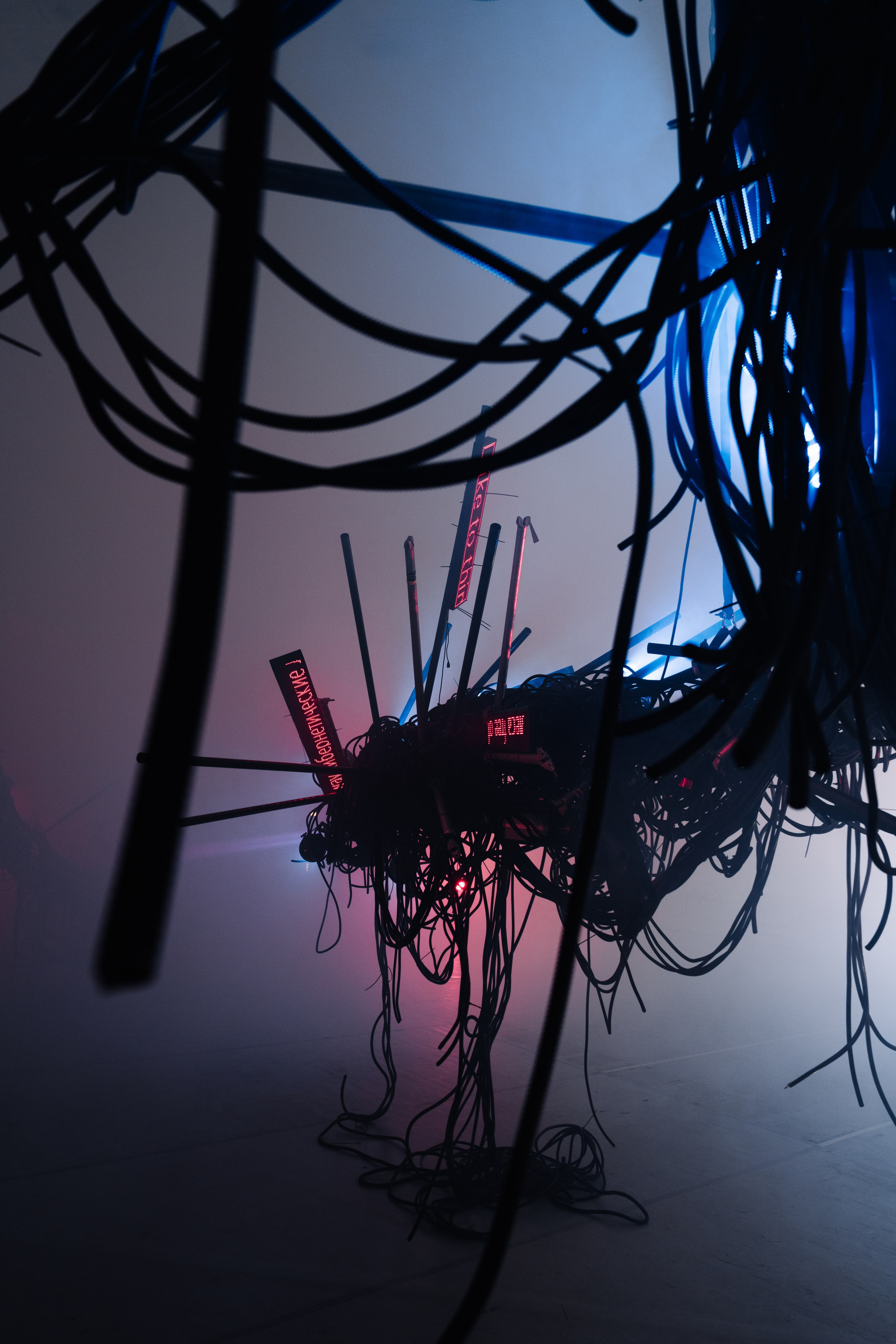 PANTERRA, CHRONOMORPH 001. @tomrus: Рустам Шагиморданов — фотограф