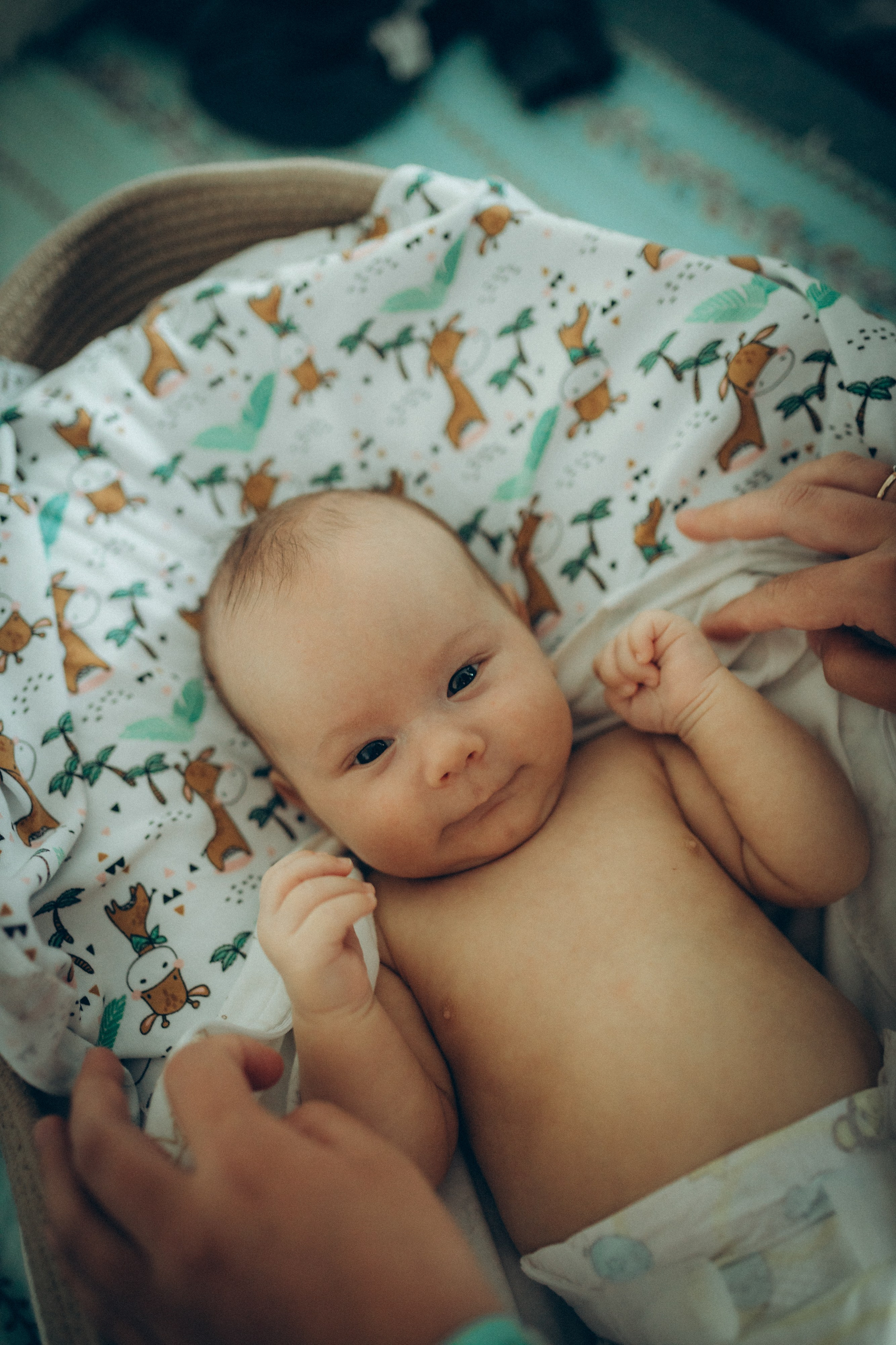 Аня, Кирилл и Ярослав. Семейный фотограф и фотограф на роды в Ростове-на-Дону Мухина Виктория