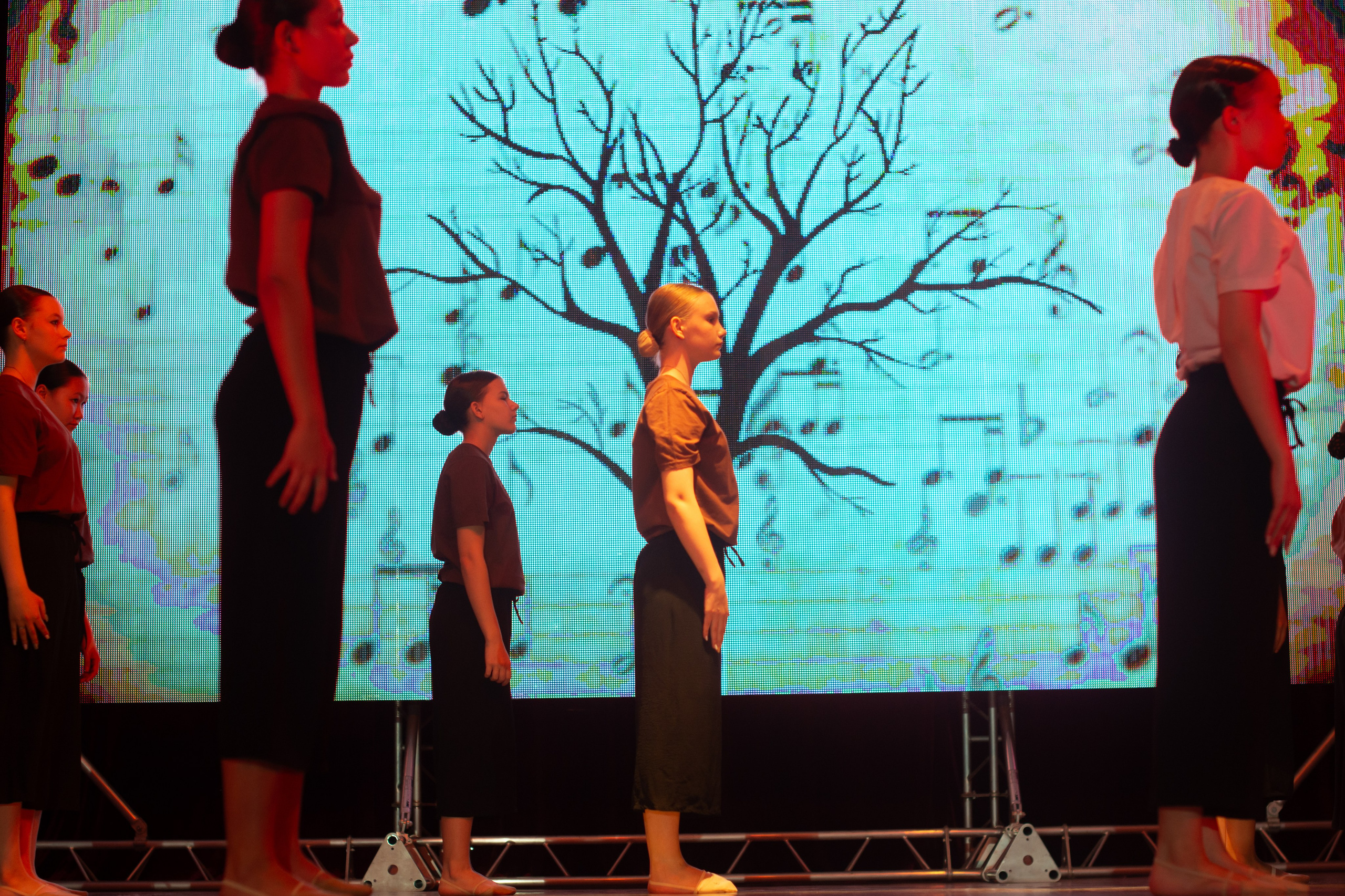 Отчетное выступление NEXT. Evgeniy Roslov