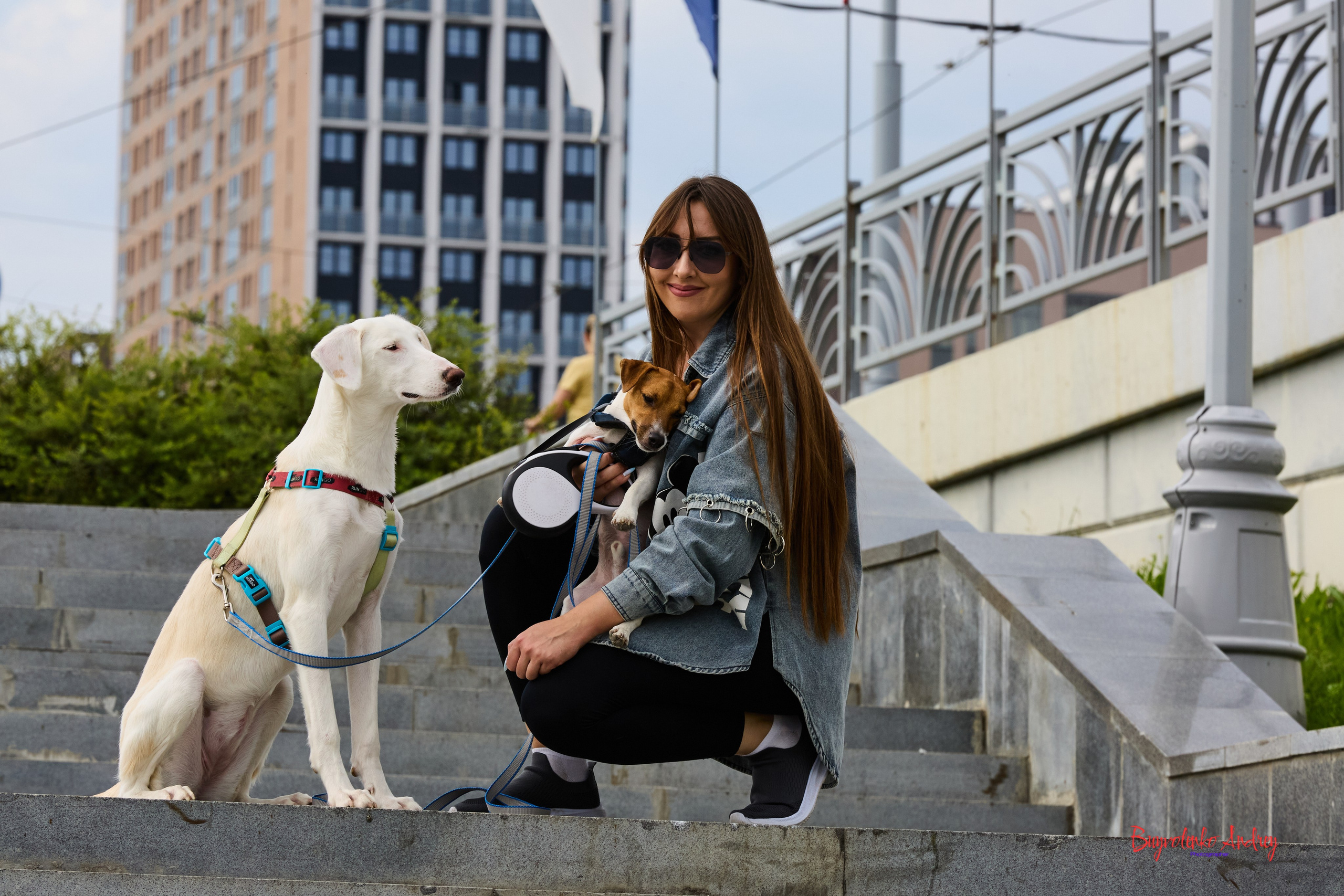 Проект фотопрогулка с хвостиком. Buyvolenko Andrey