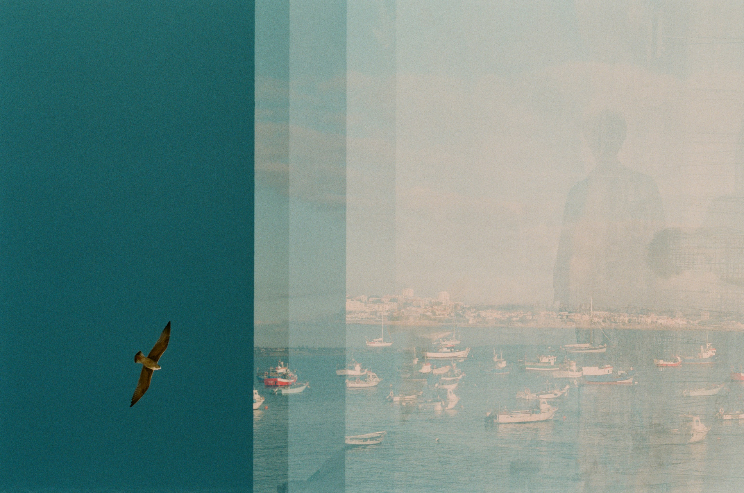 Film chronicle. Kosky ilya