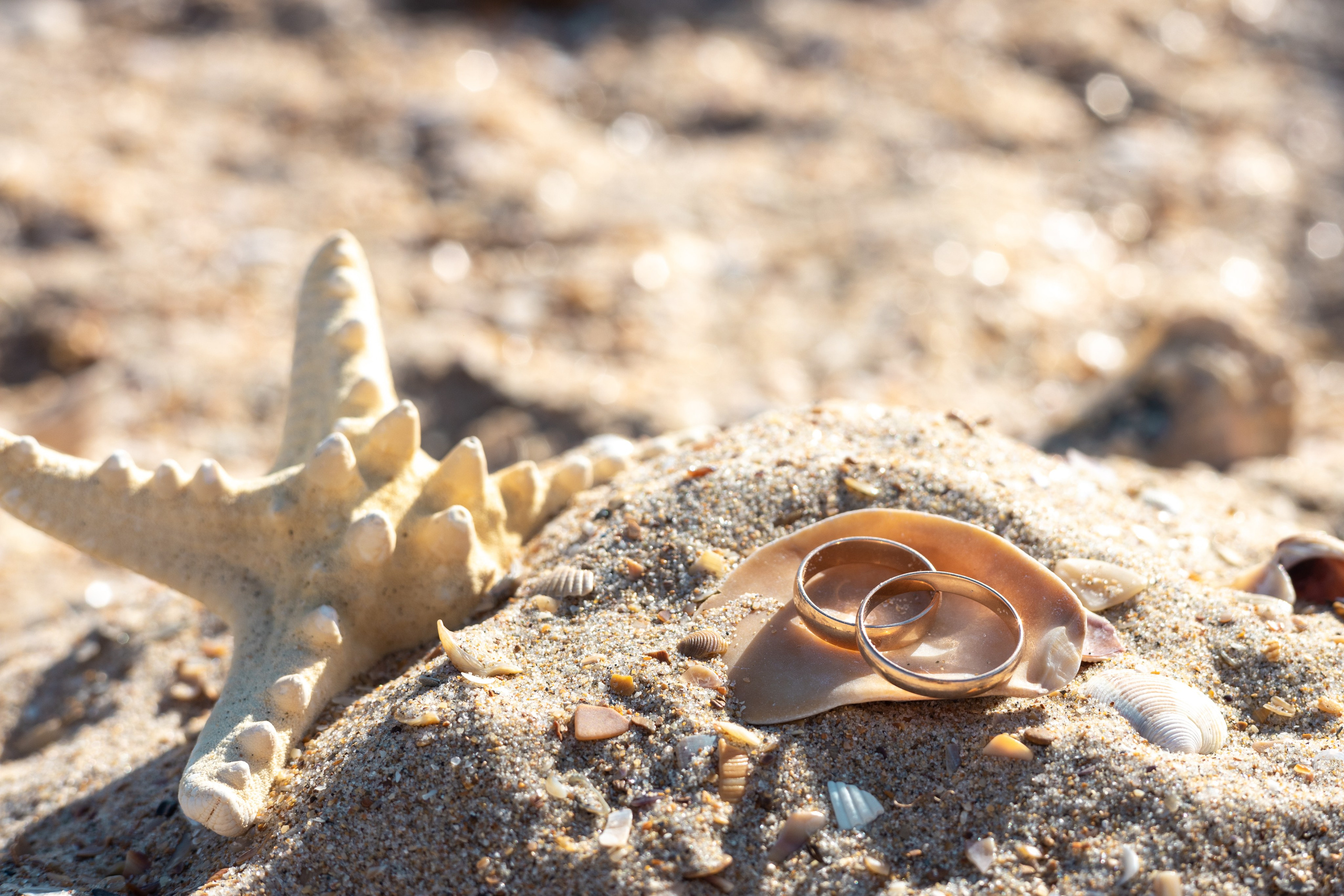 Аня и Андрей