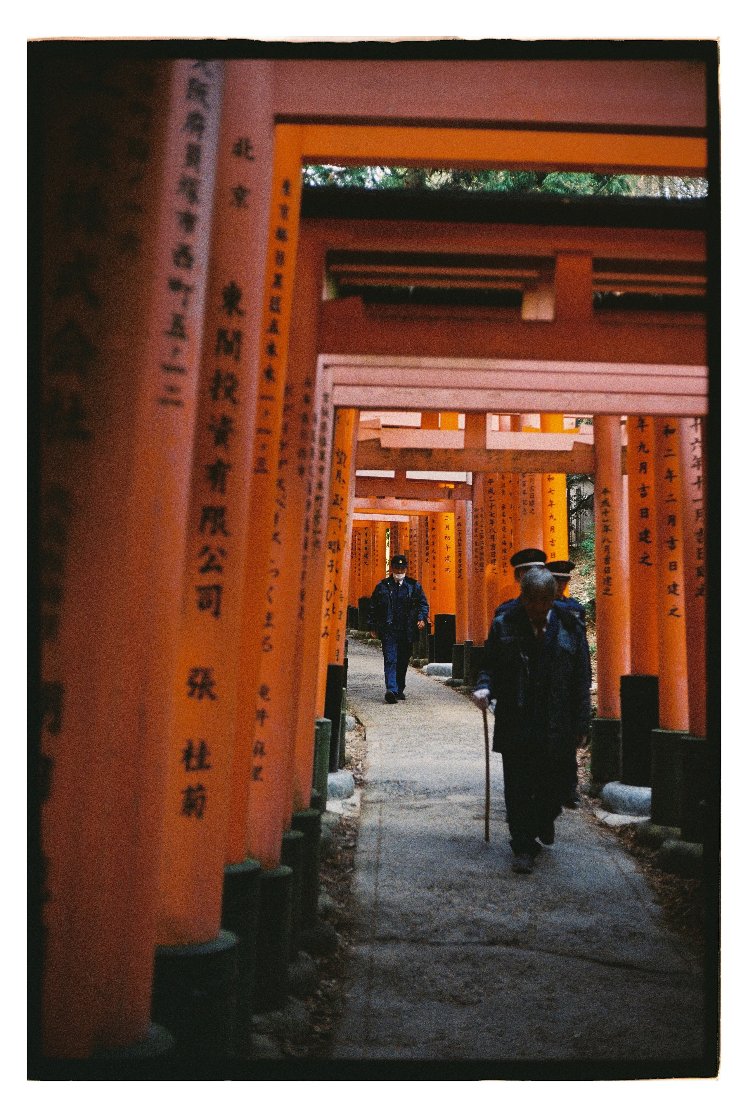 Japan. @tomrus: Рустам Шагиморданов — фотограф