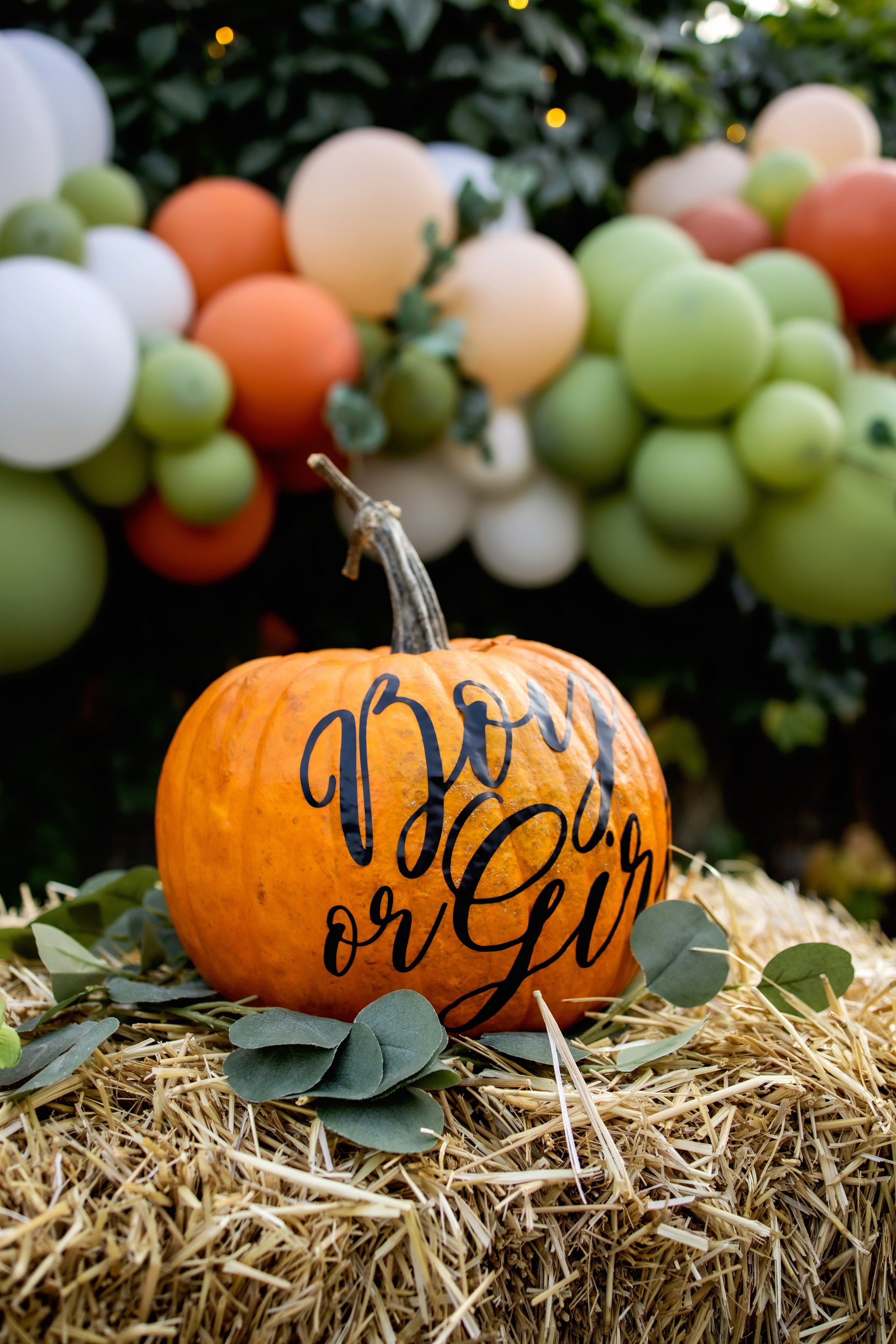 Гендер-Пати. Фотограф Надежда Лукьянова