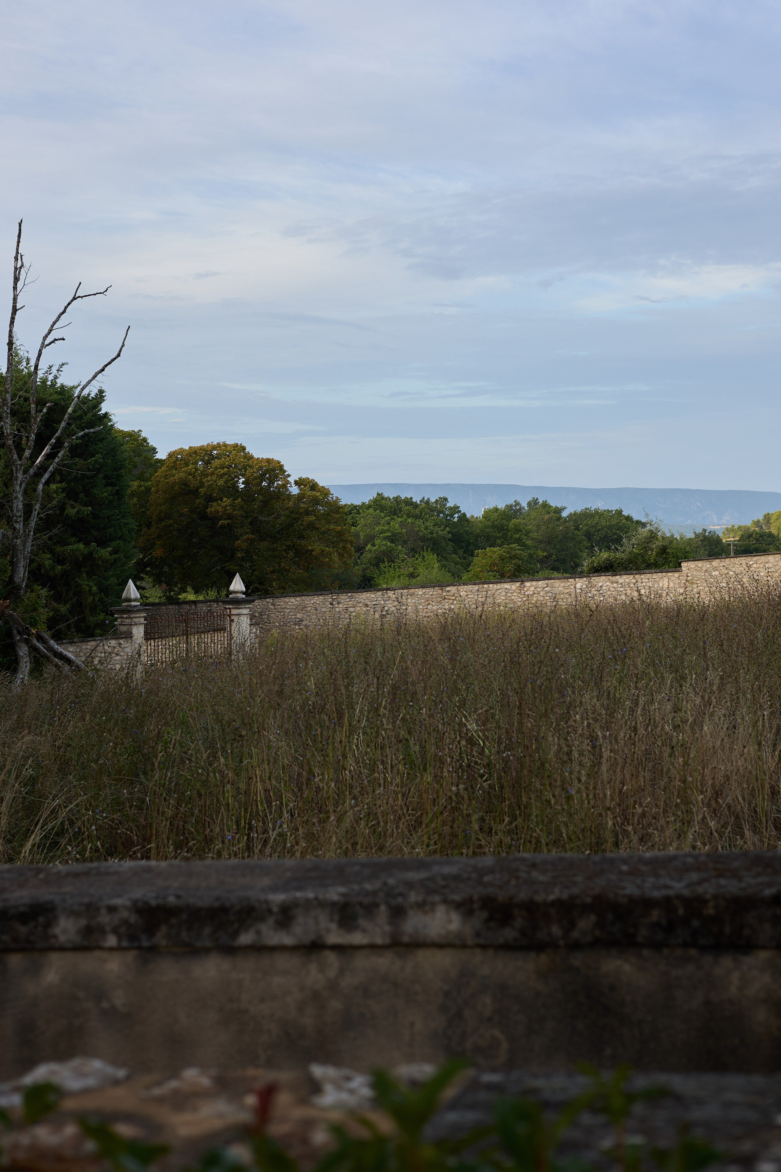 France (Provence & Paris) Sep'25. Анастасия Зобнинá — фотограф в Санкт-Петербурге/СПб