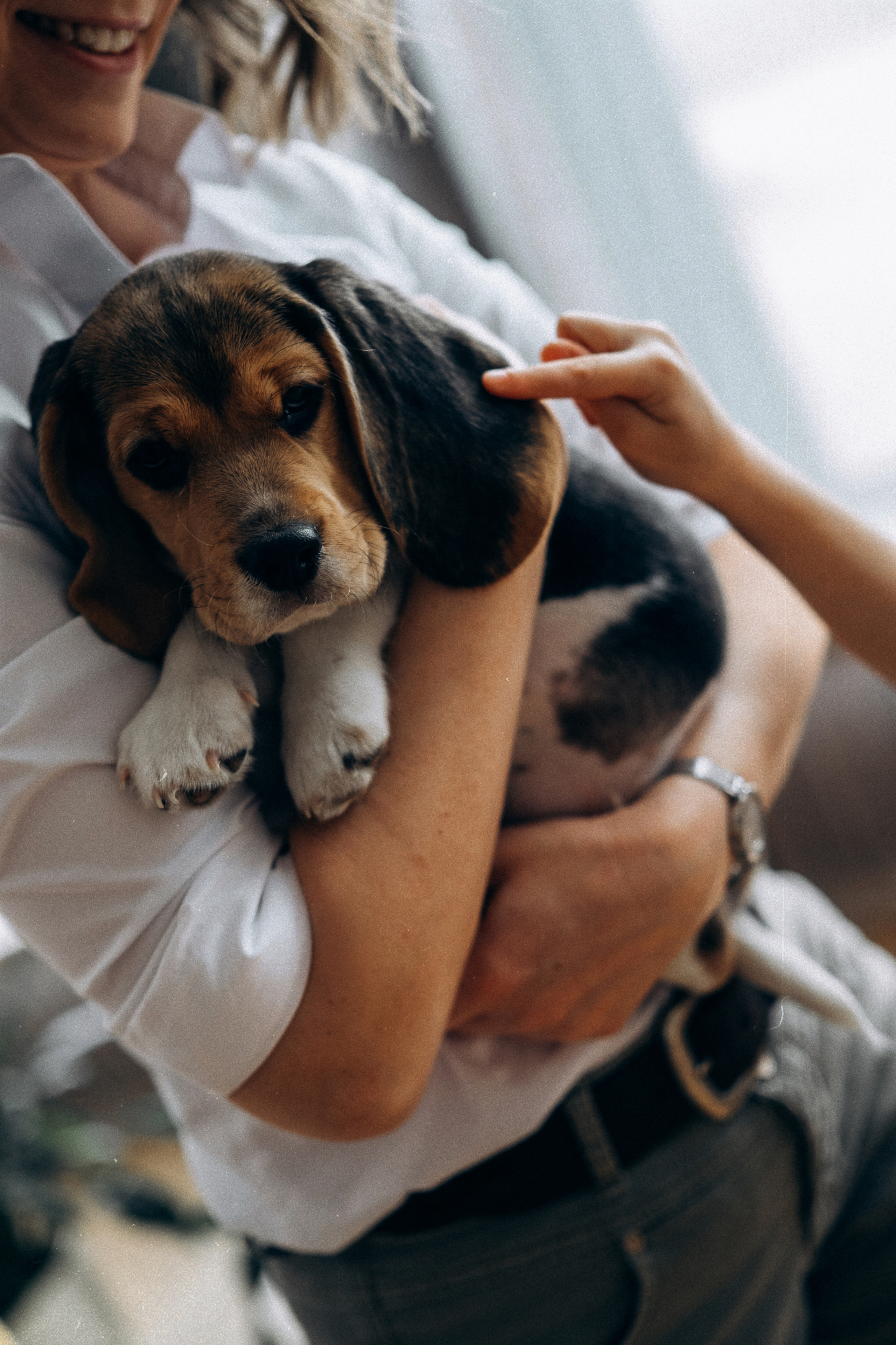 Полина, Костя, Яна, Флокки. Фотограф Контузорова Ольга