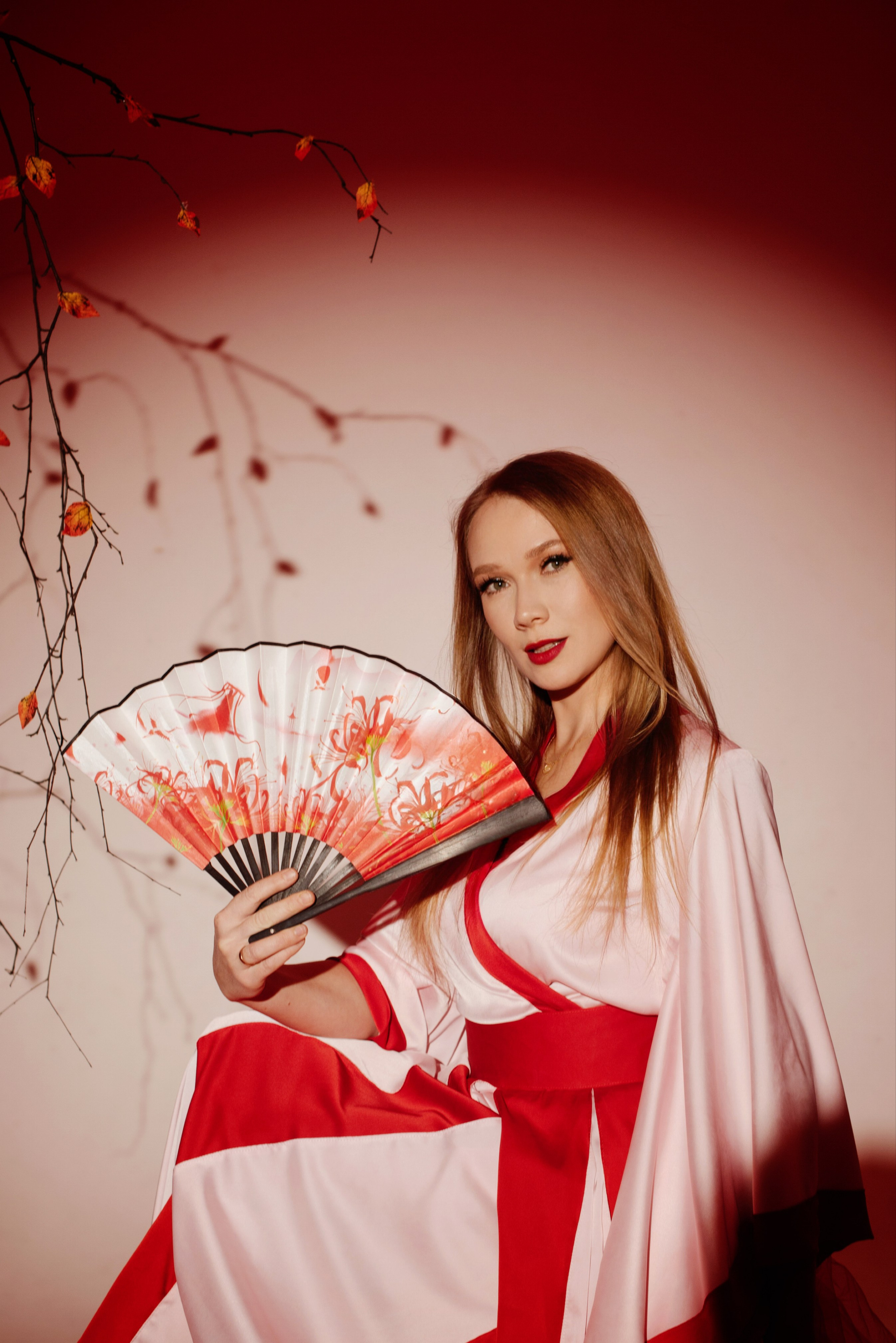 Фото МЕМУАРЫ ГЕЙШИ от Натальи. ФОТОПРОЕКТЫ