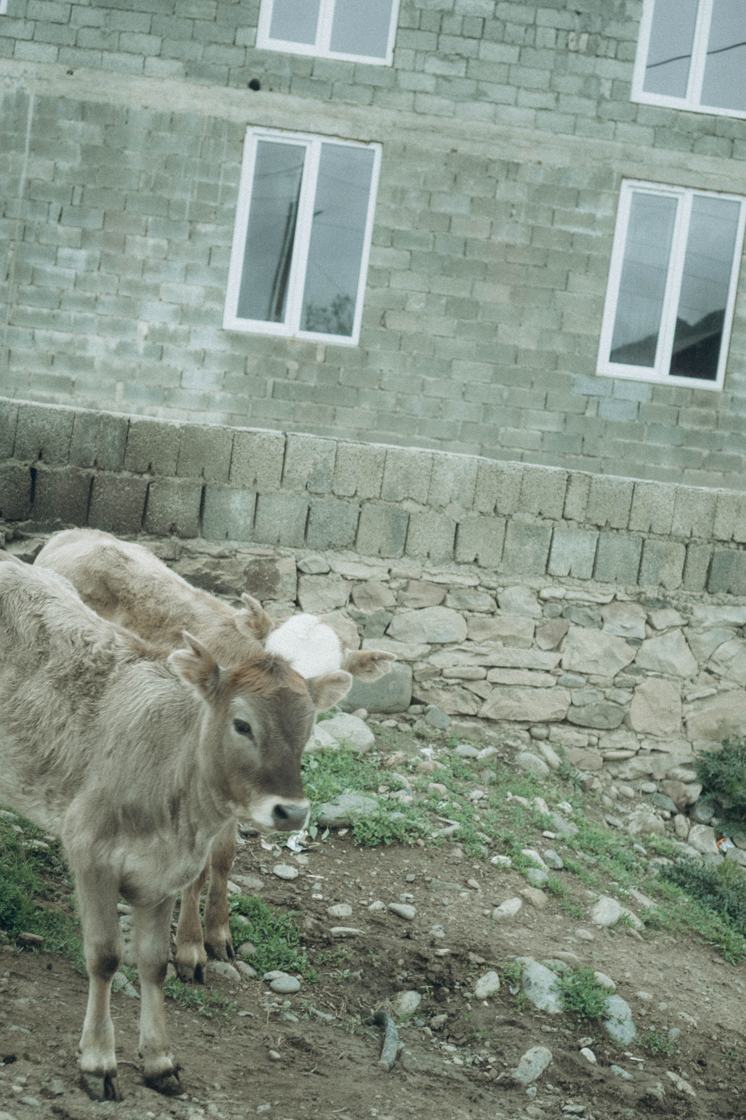 Кавказ. Профессиональный фотограф, Санкт-Петербург — Виктория Богомолова