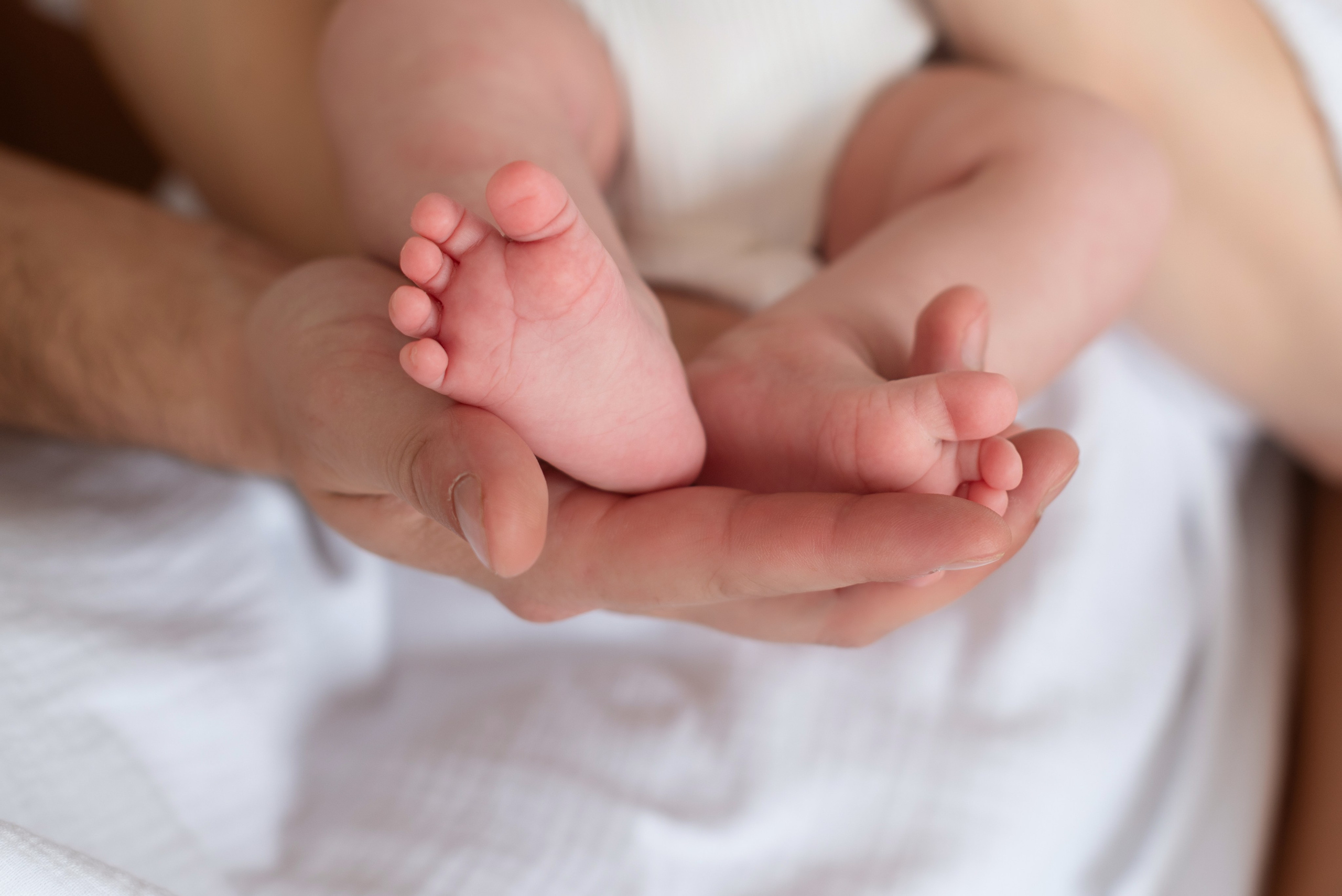 Сестренки. Фотограф новорожденных Елена Панова