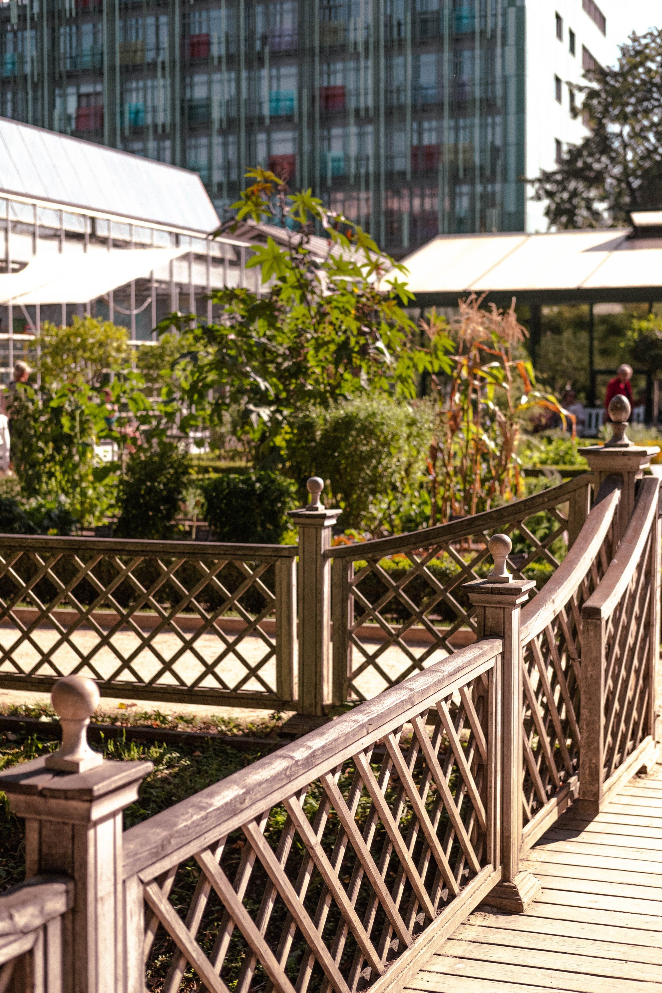 Москва 2024. Свадебный и семейный фотограф в Новосибирске, Санкт-Петербурге, Москве