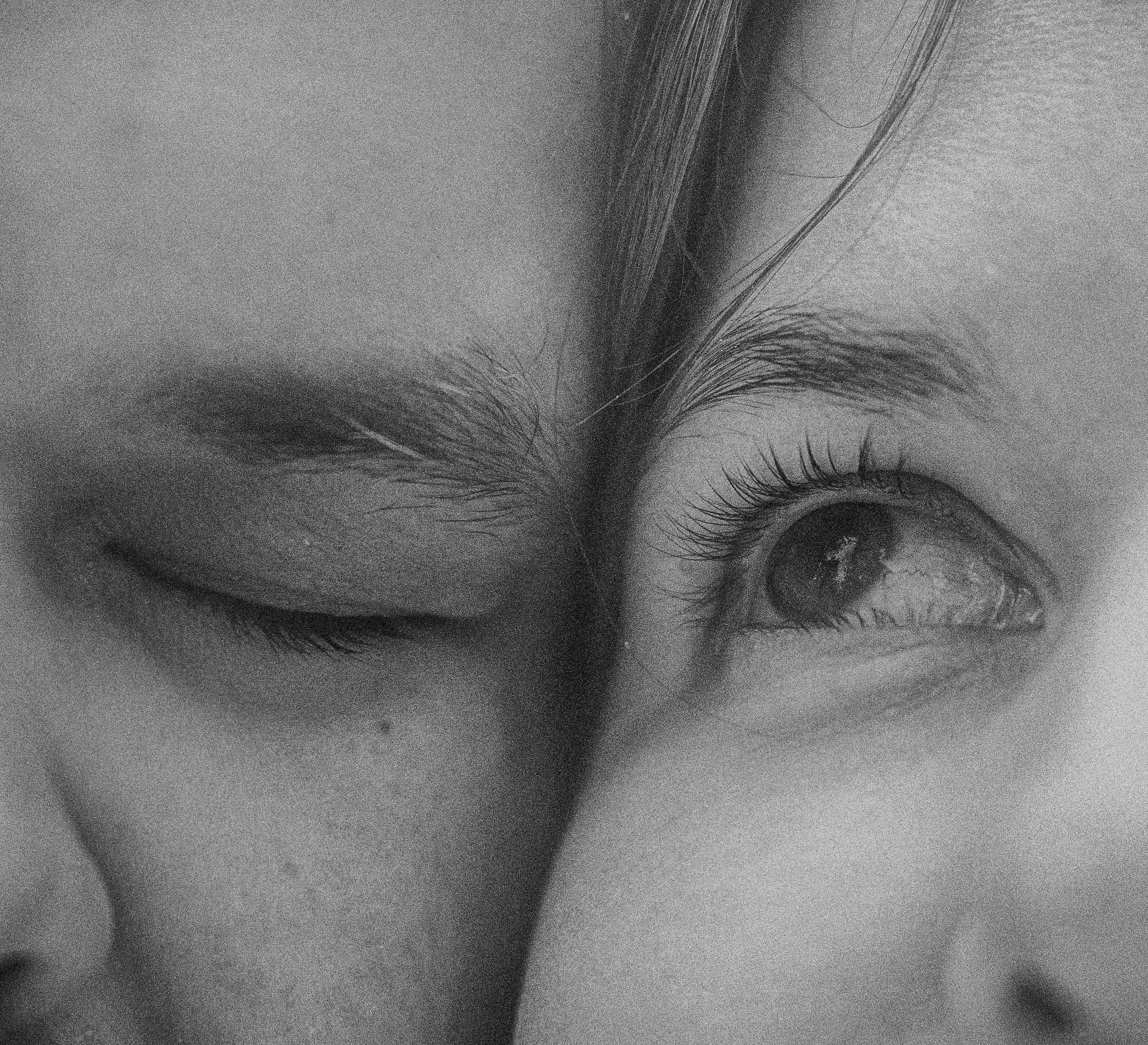 Катя, Анатолий и Елай. Фотограф анималист в Москве и Санкт-Петербурге Свиридова Анна