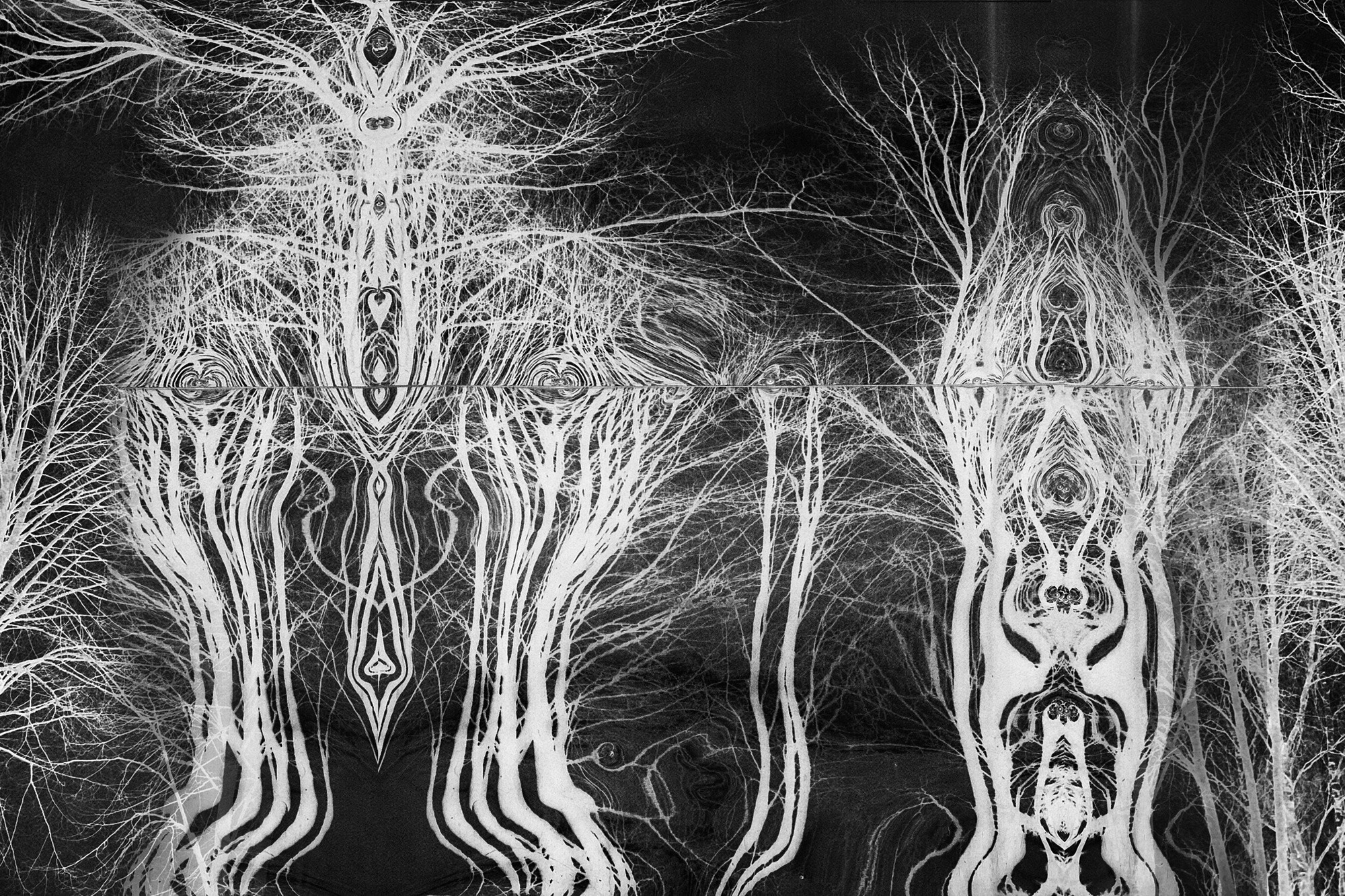 Ядерная зима (2023). Мария Завьялова | фотограф и преподаватель фотографии