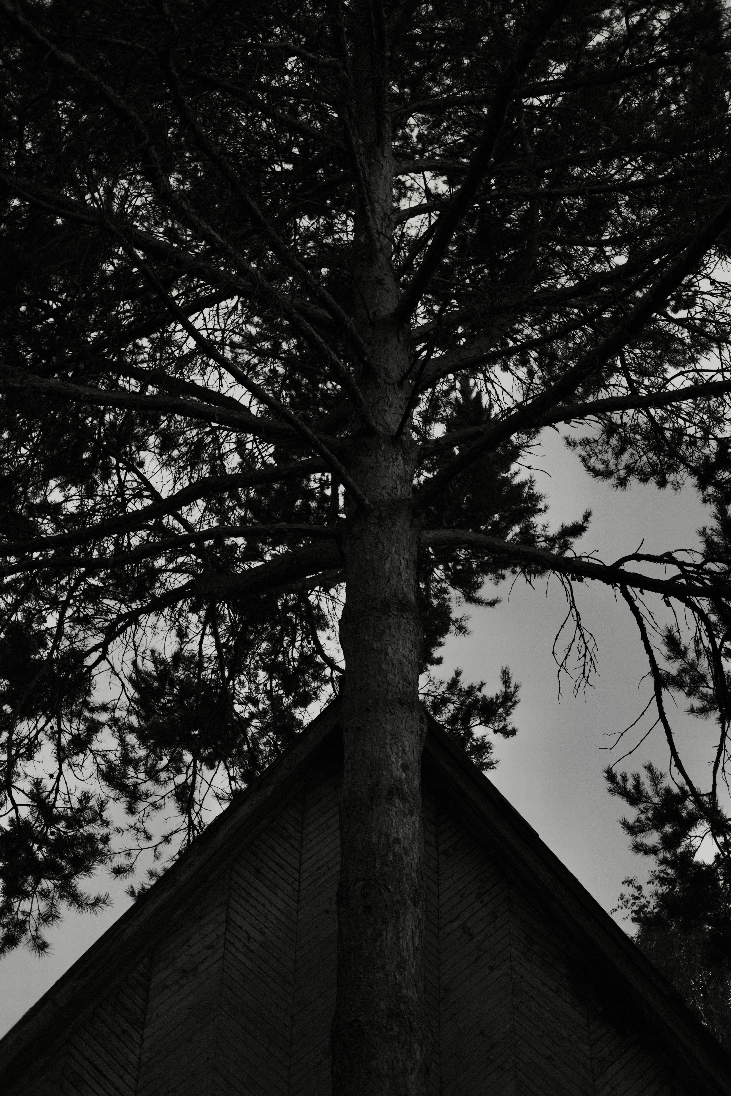 Природа. Фотограф Маргана Лоция