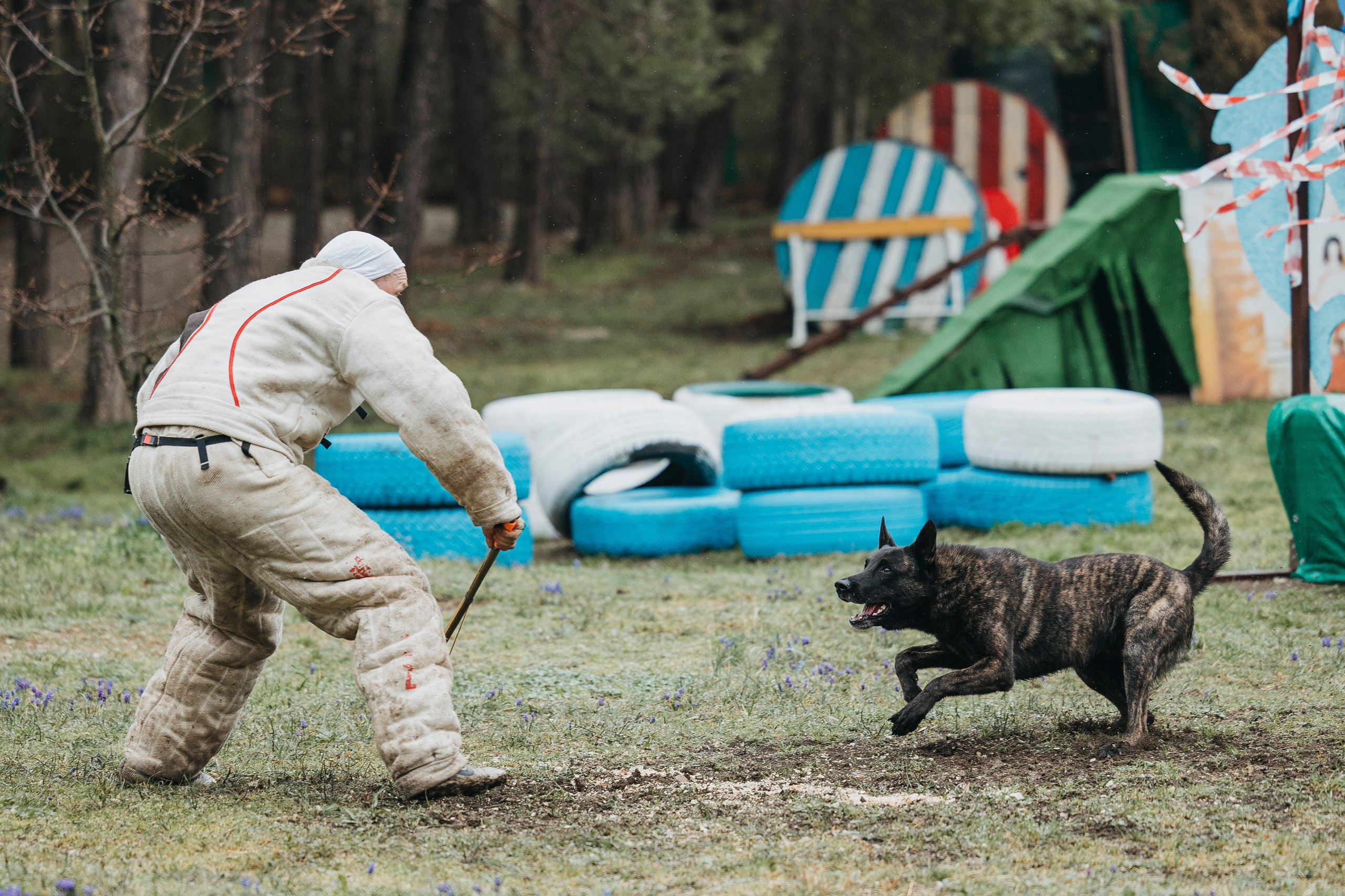 Геленджик Мондьоринг. Фотограф-анималист Анна Маринич